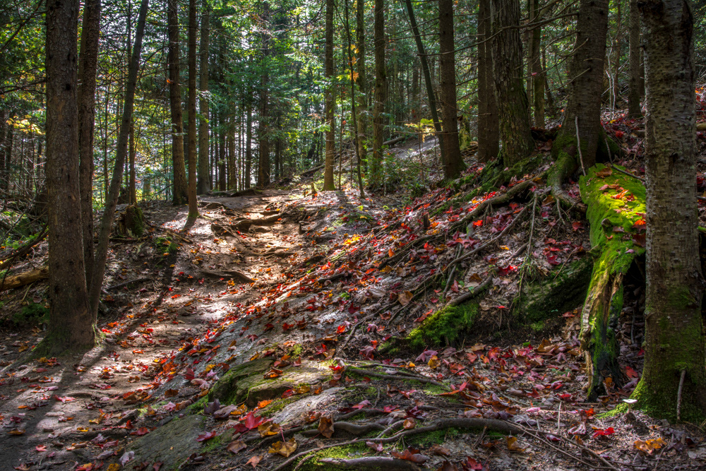Peck Lake Trail © Irwin Seidman