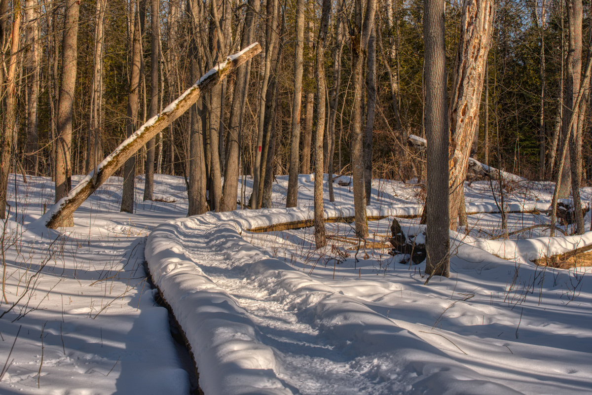 Hibou Trail © Irwin Seidman