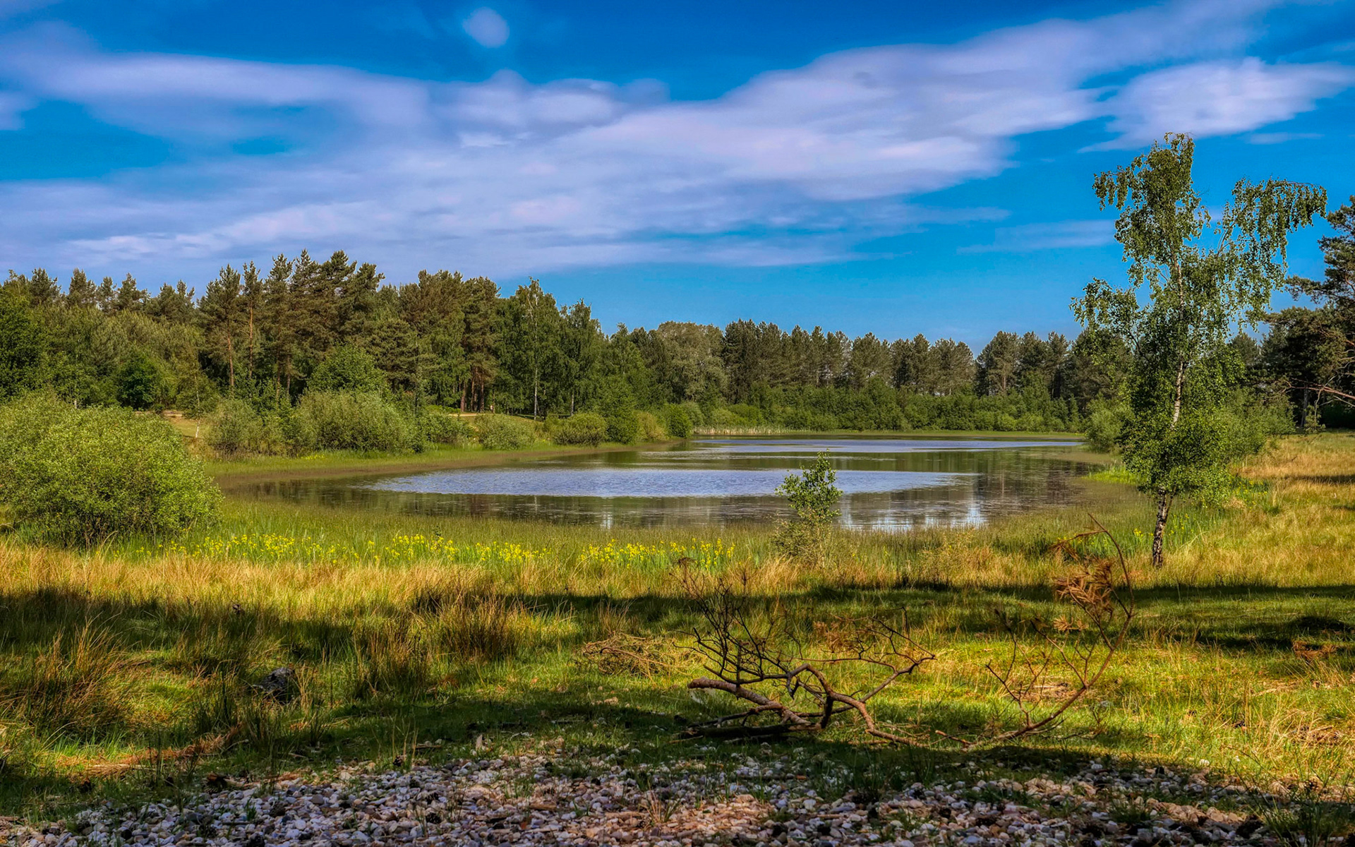 2018 Teverner Heide