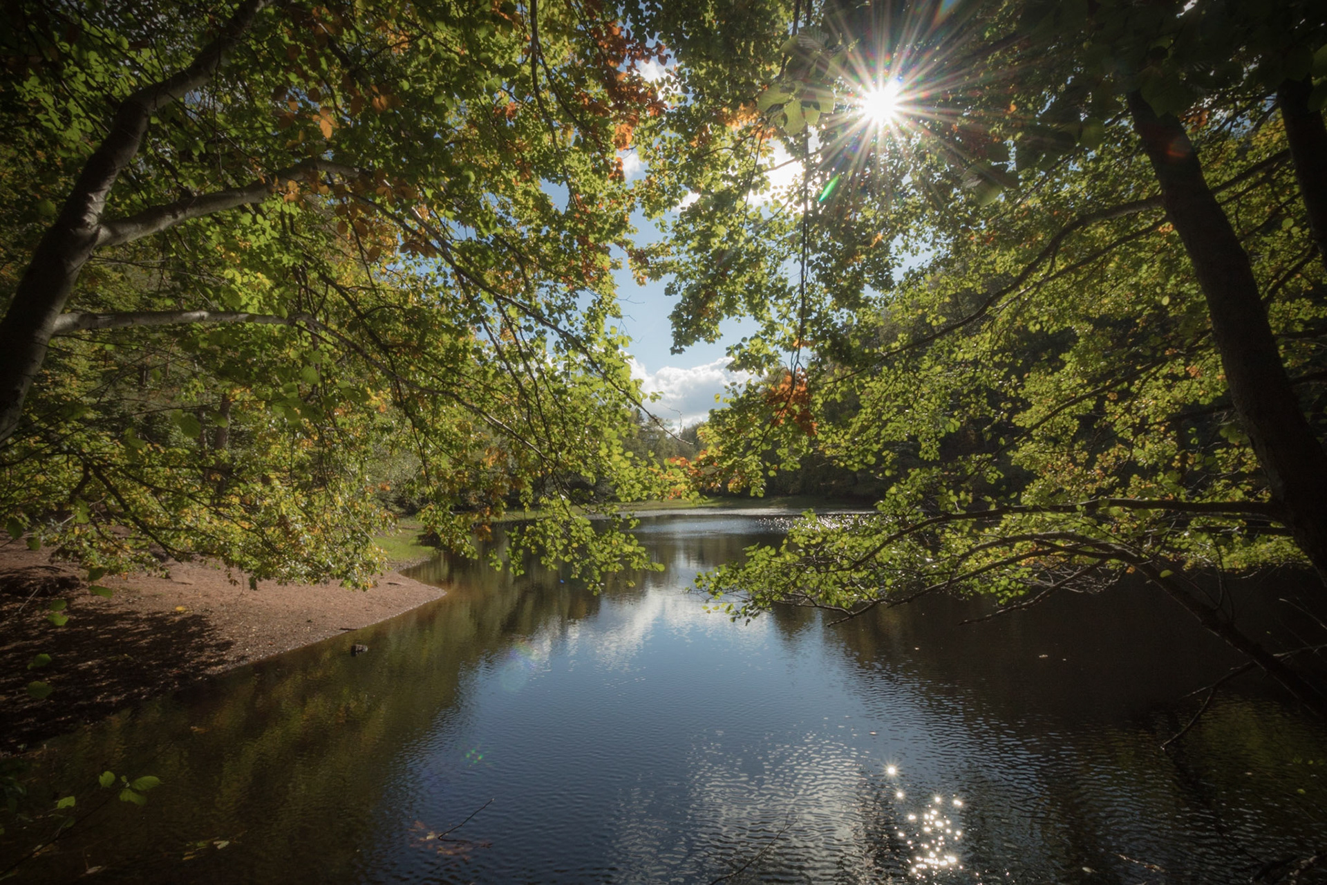 Pfrimmweiher