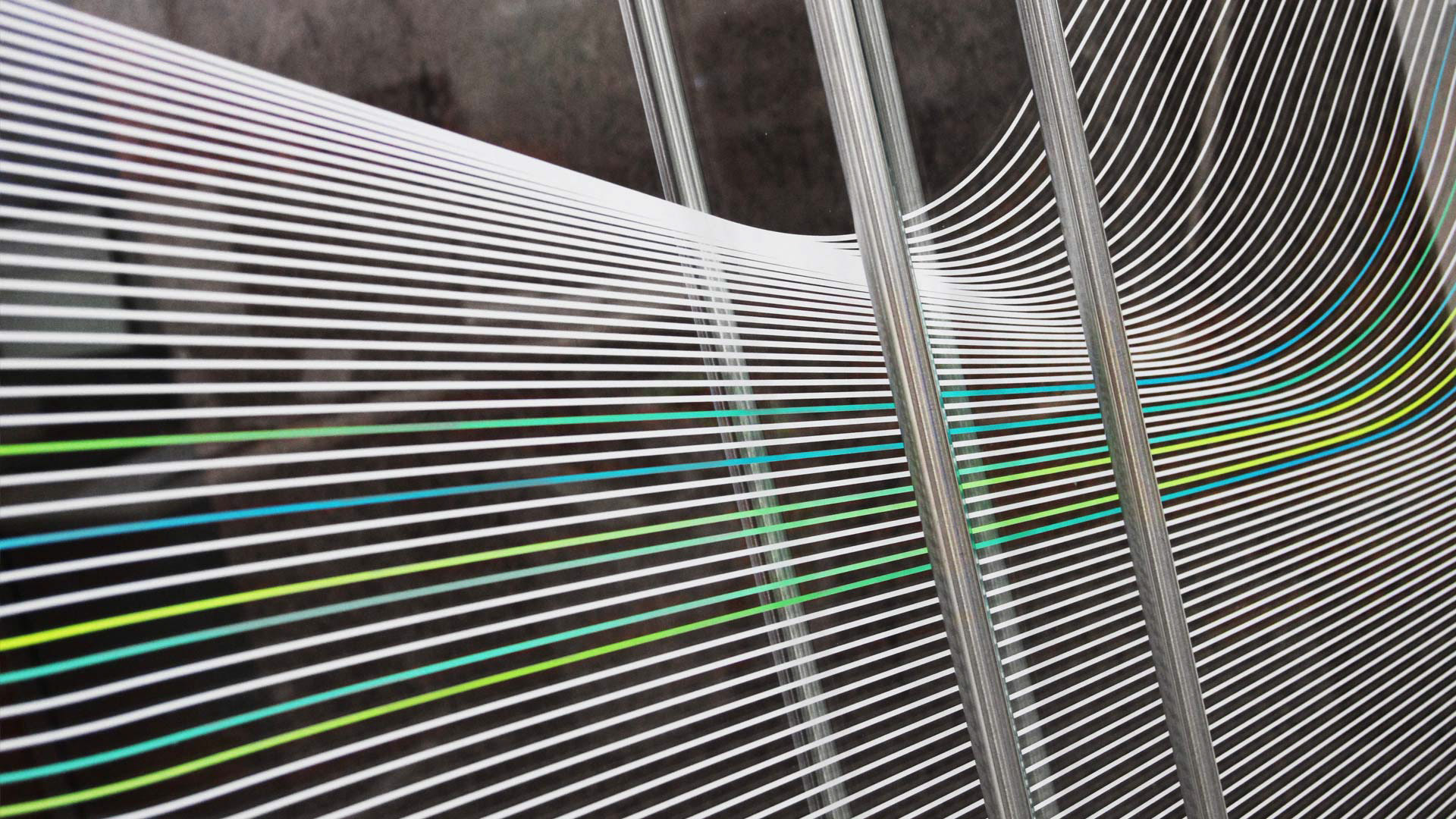 NEX window graphics branding, visual identity