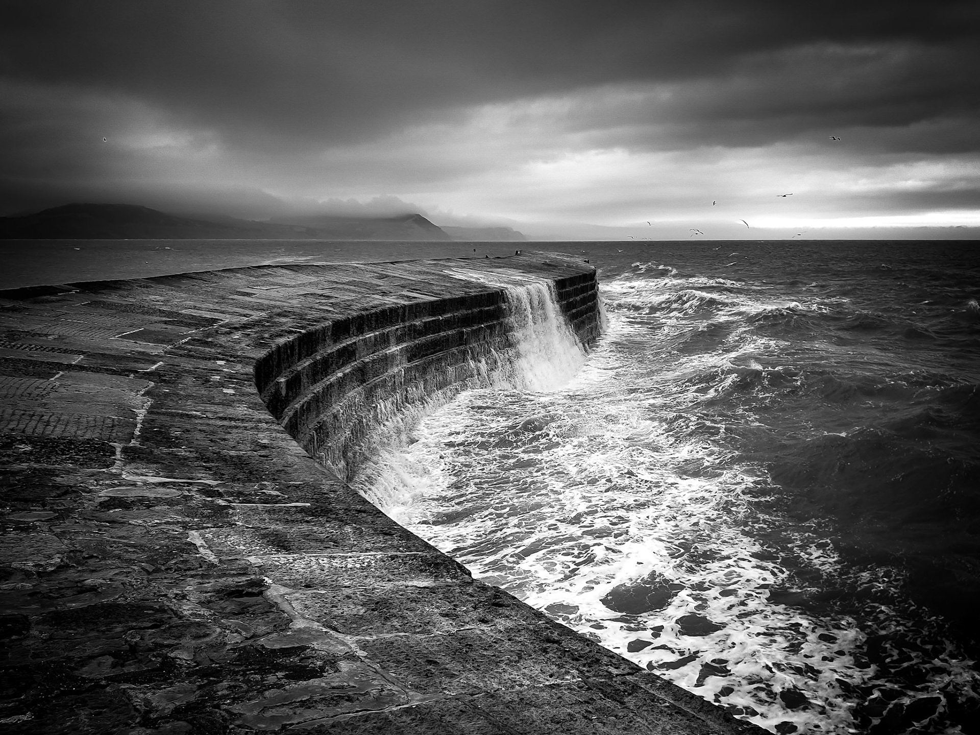 The Cobb B&W