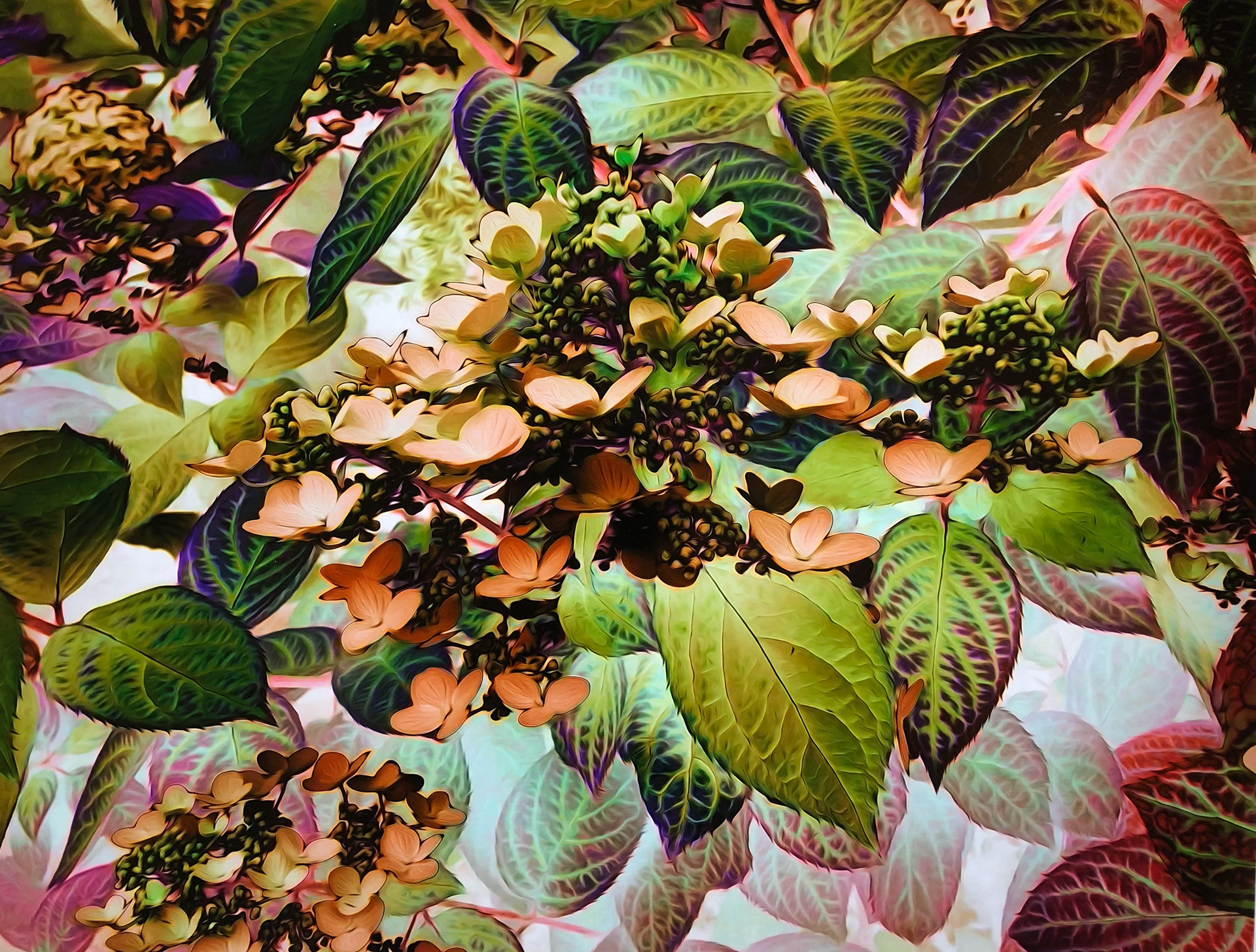 Vines $500 (28" x 23")