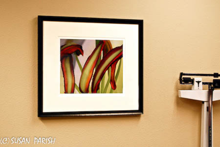 Cardiology Associates - Susan Parish, Artist
