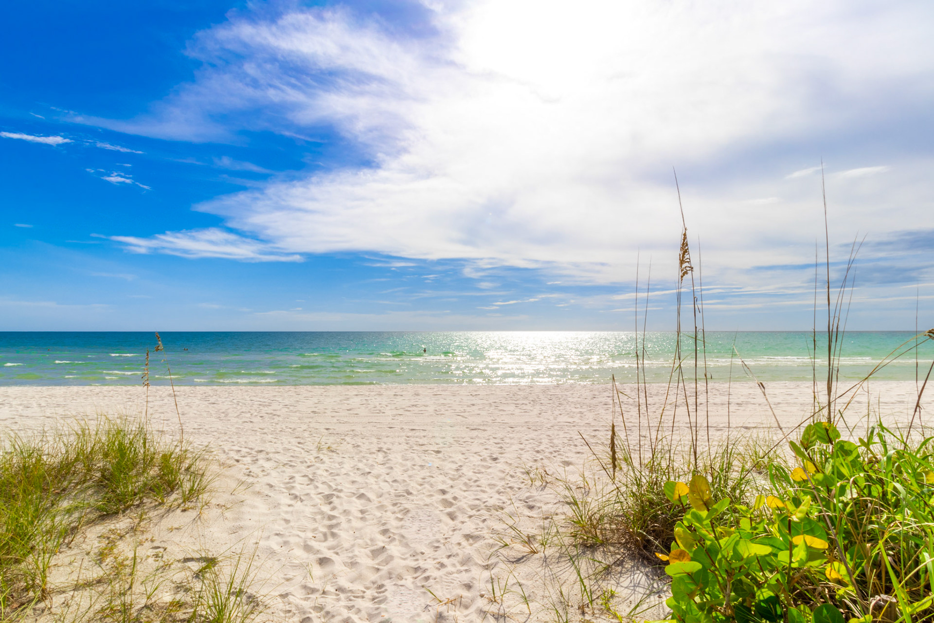 We dream in colors borrowed from the sea.