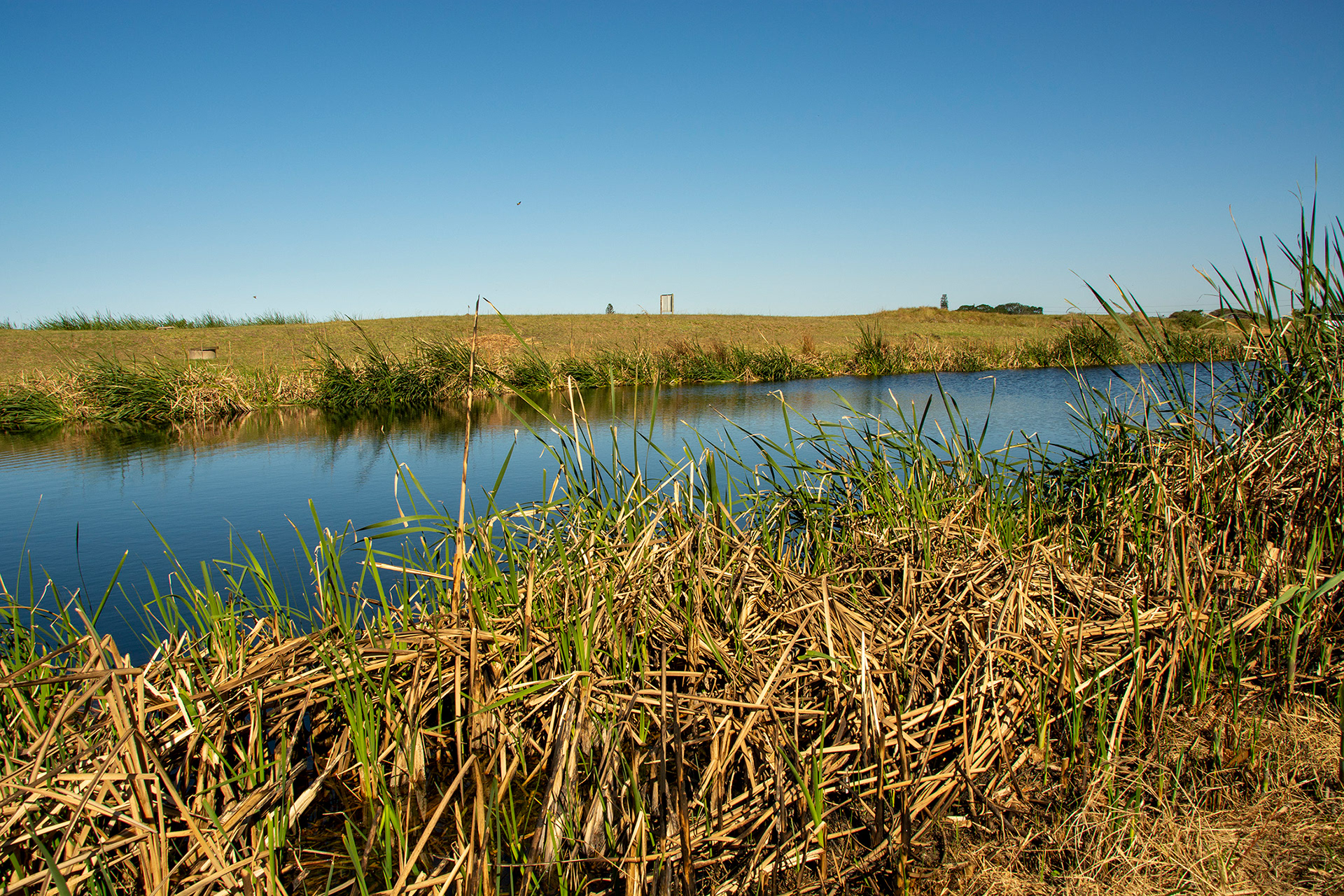 Cove Rock Country Estate GALLERY