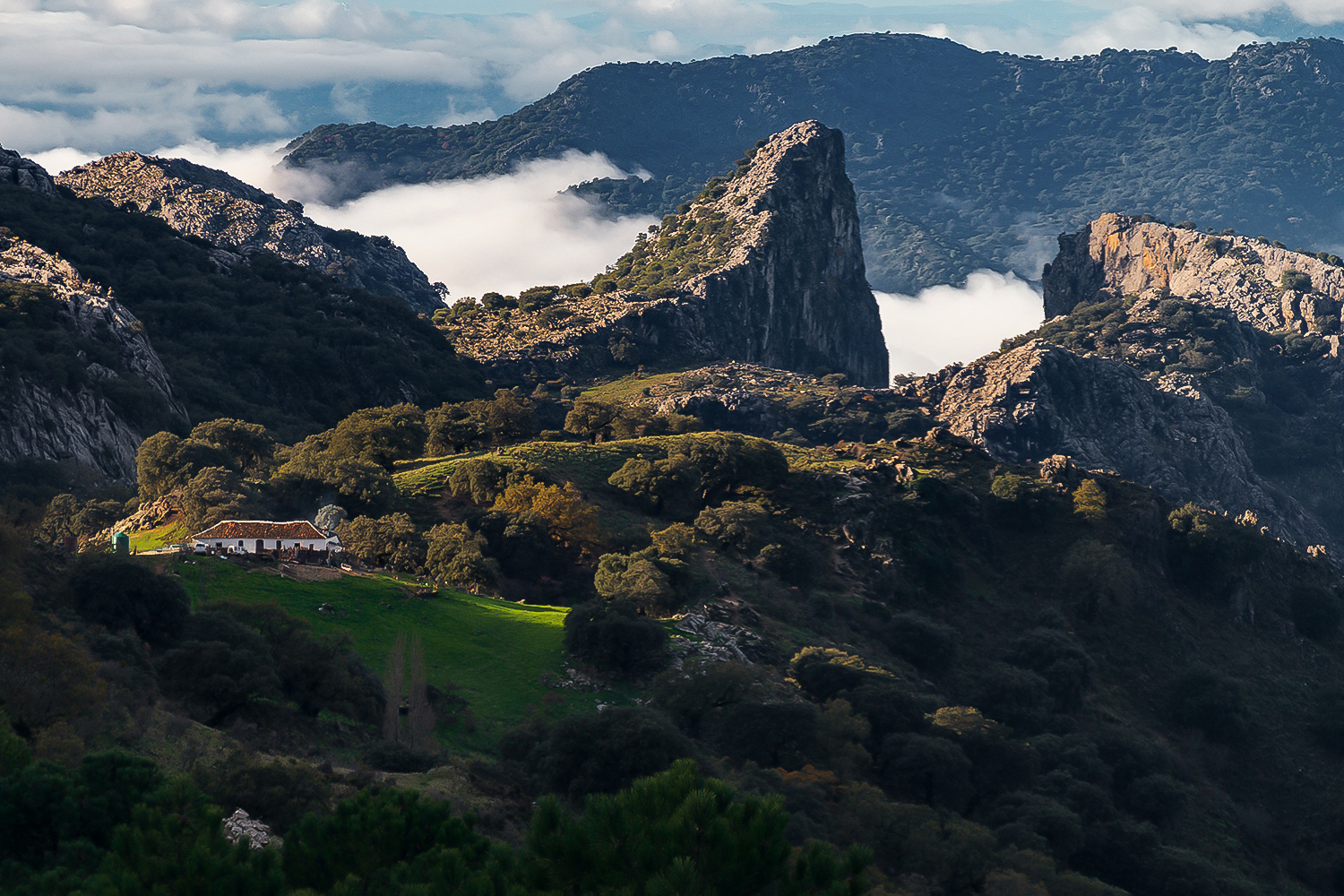 Salto del cabrero