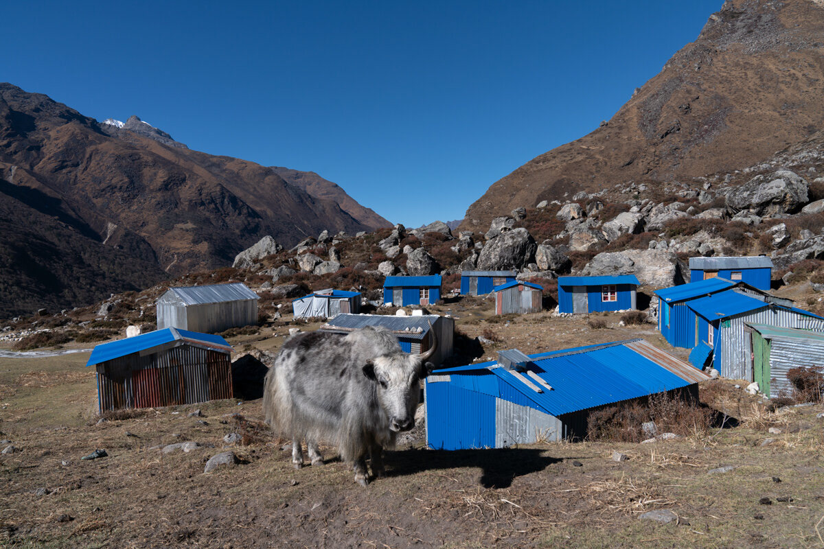 new village of Langtang