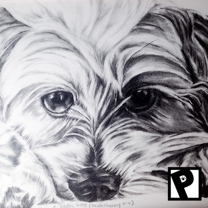 Pet Portraiture (Graphite Pencil)