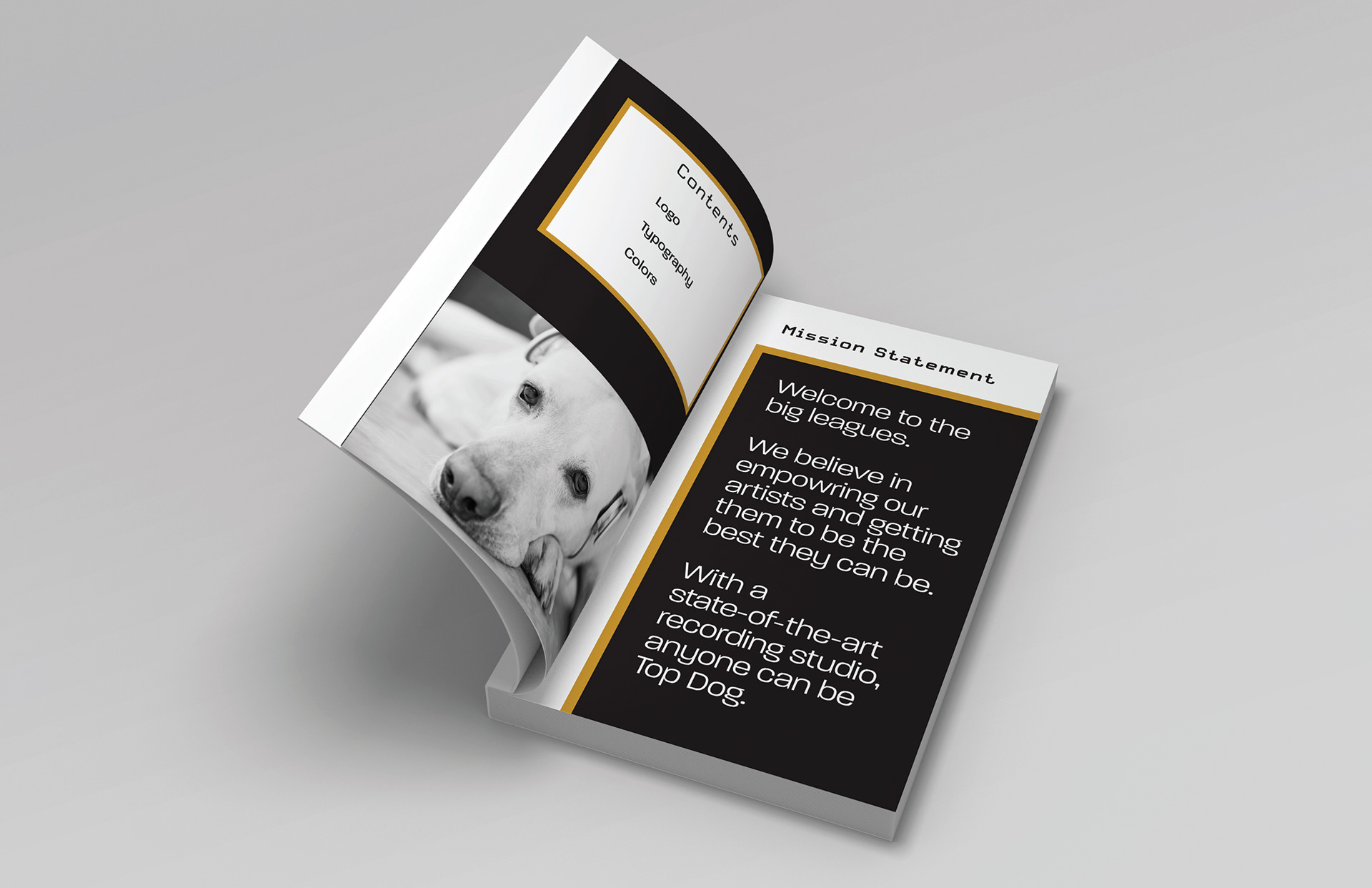 Brand Manual