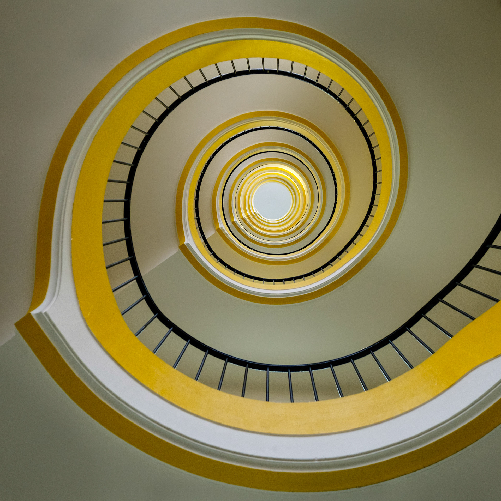 CHR West Stairs - Lille, France