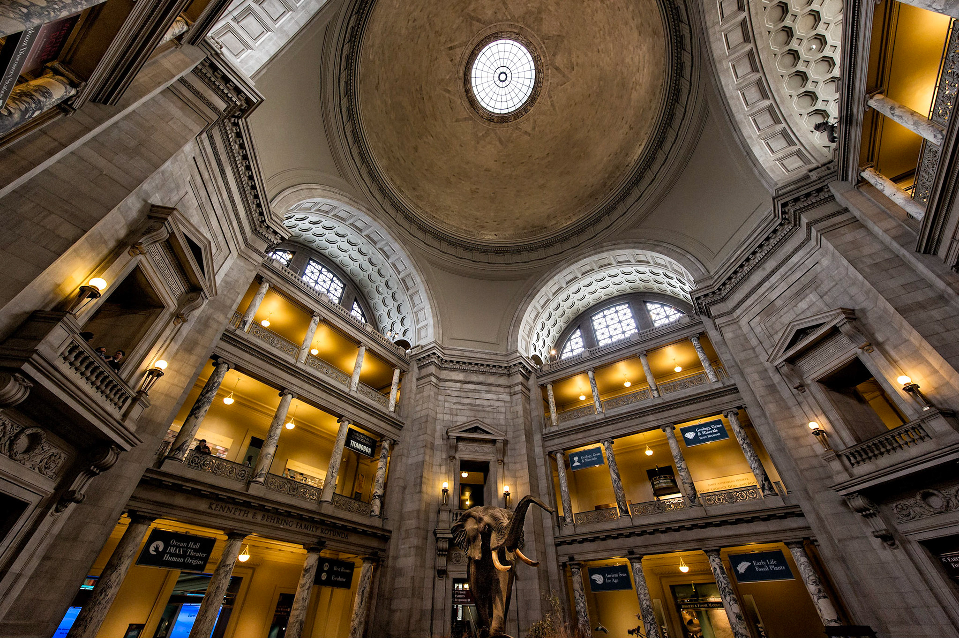 Rotunda - Washington, DC
