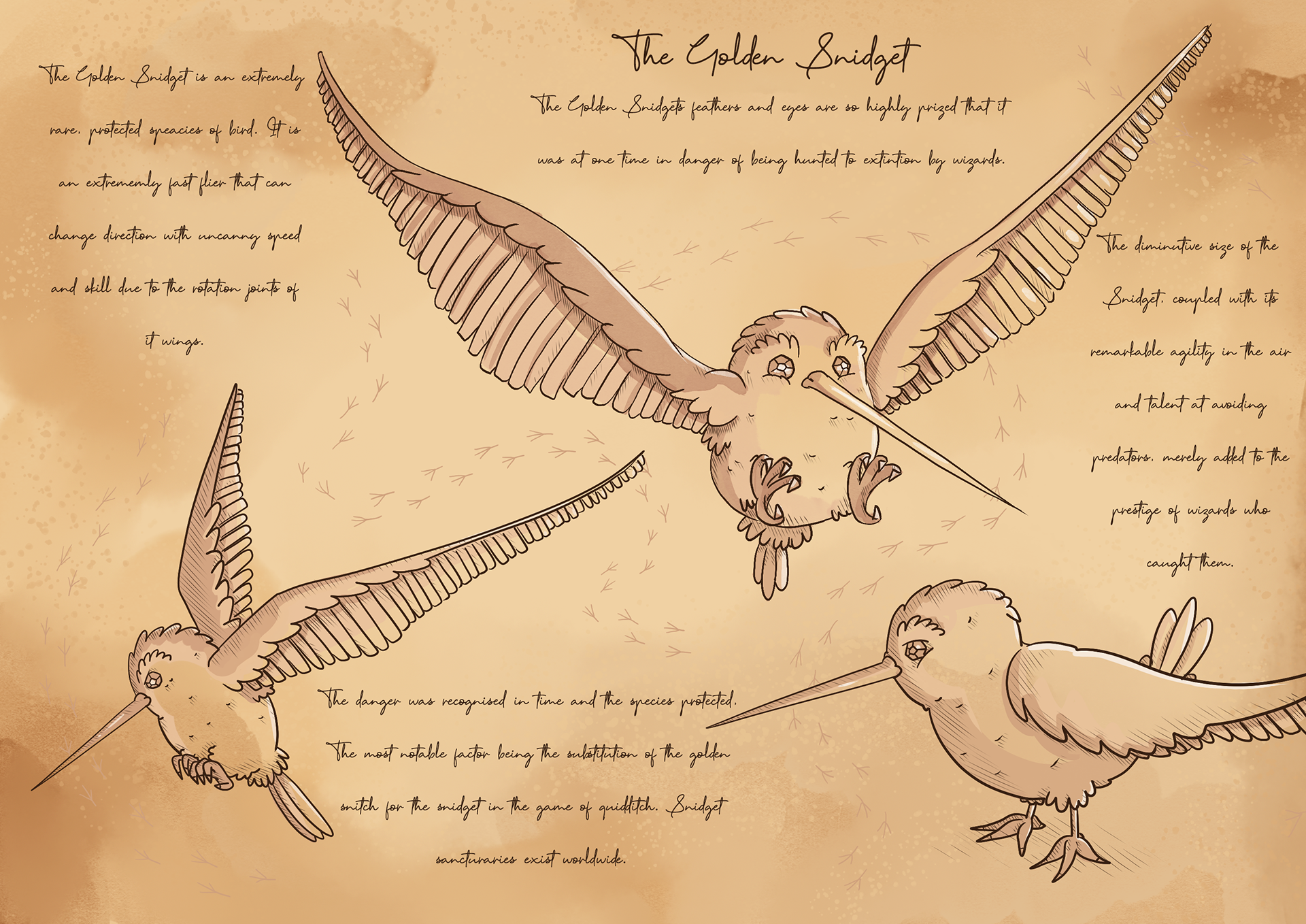 My concept art for the Snidget from 'Fantastic Beasts and Where To Find Them' by Newt Scamander