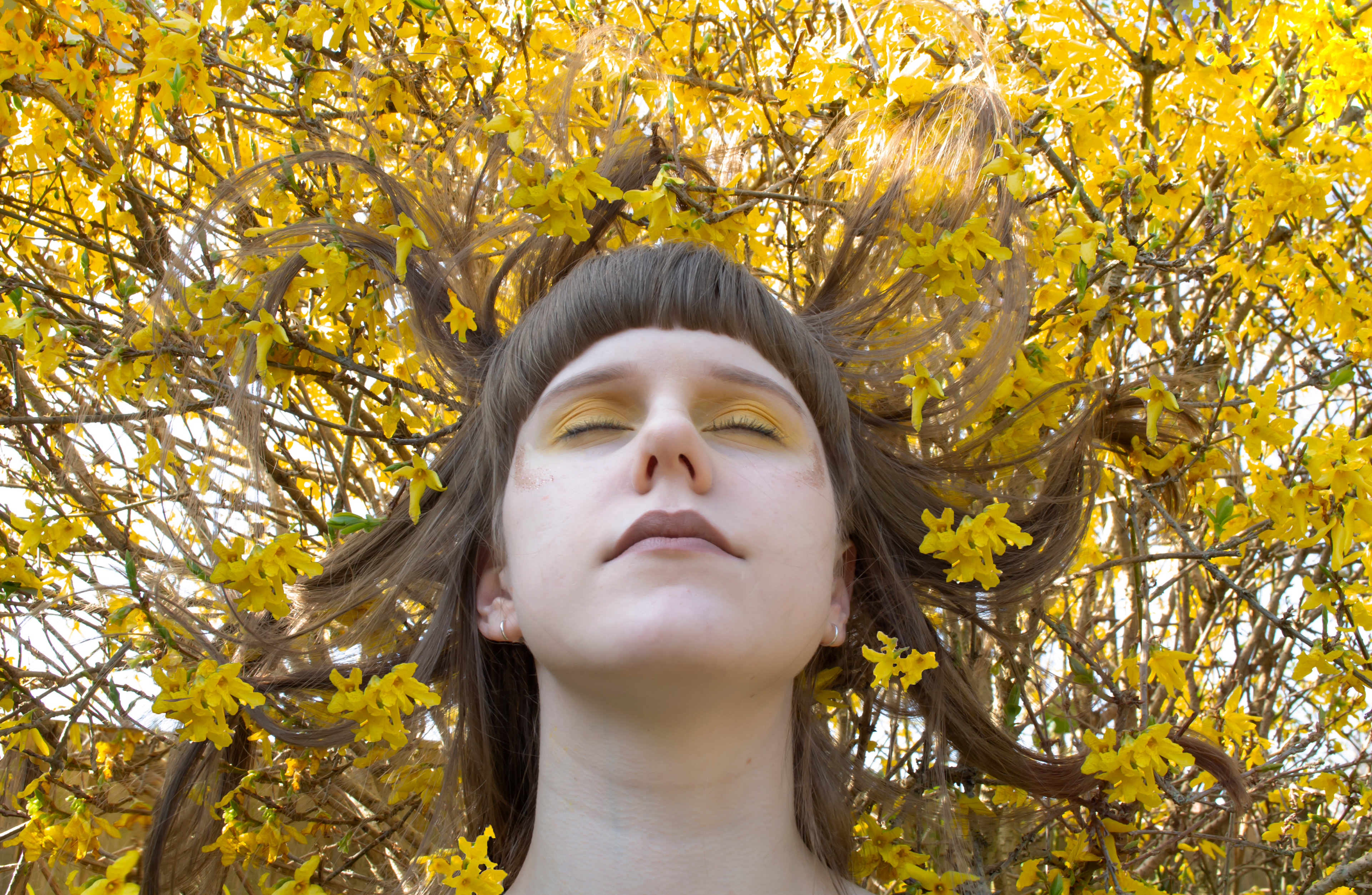 Emily Taylor - Blending In