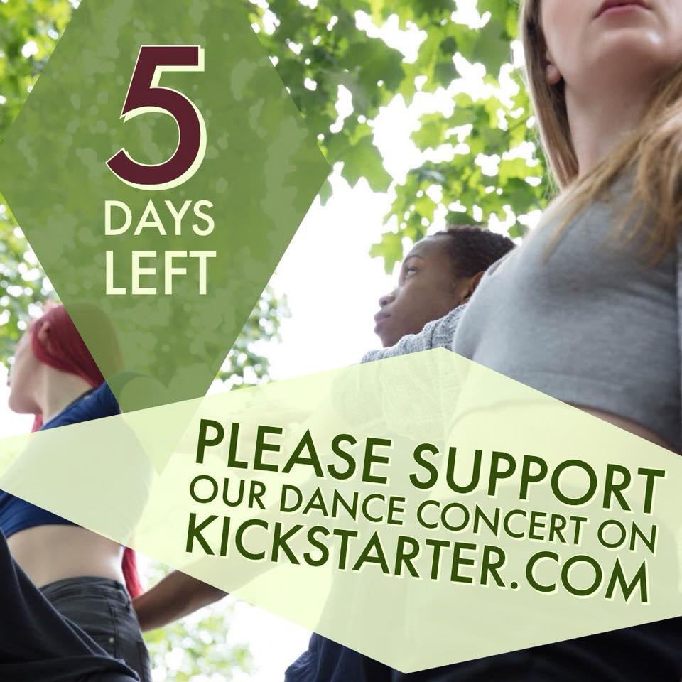 Fundraiser Countdown (2018) - Instagram Post