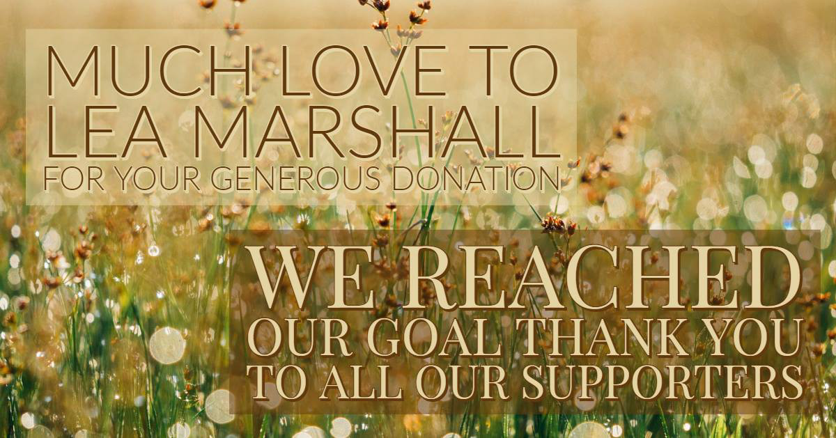 Fundraiser Donor Social Media Shout Out - Facebook Post