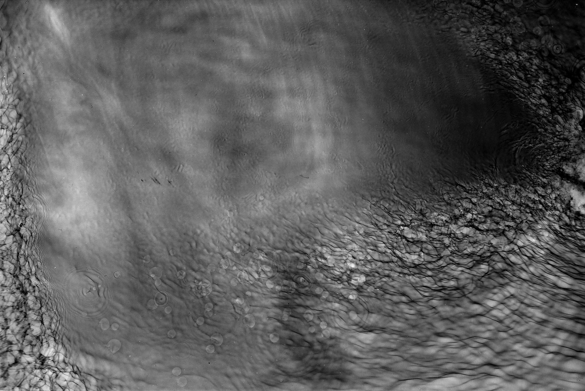 Water photogram (Untitled 2017)