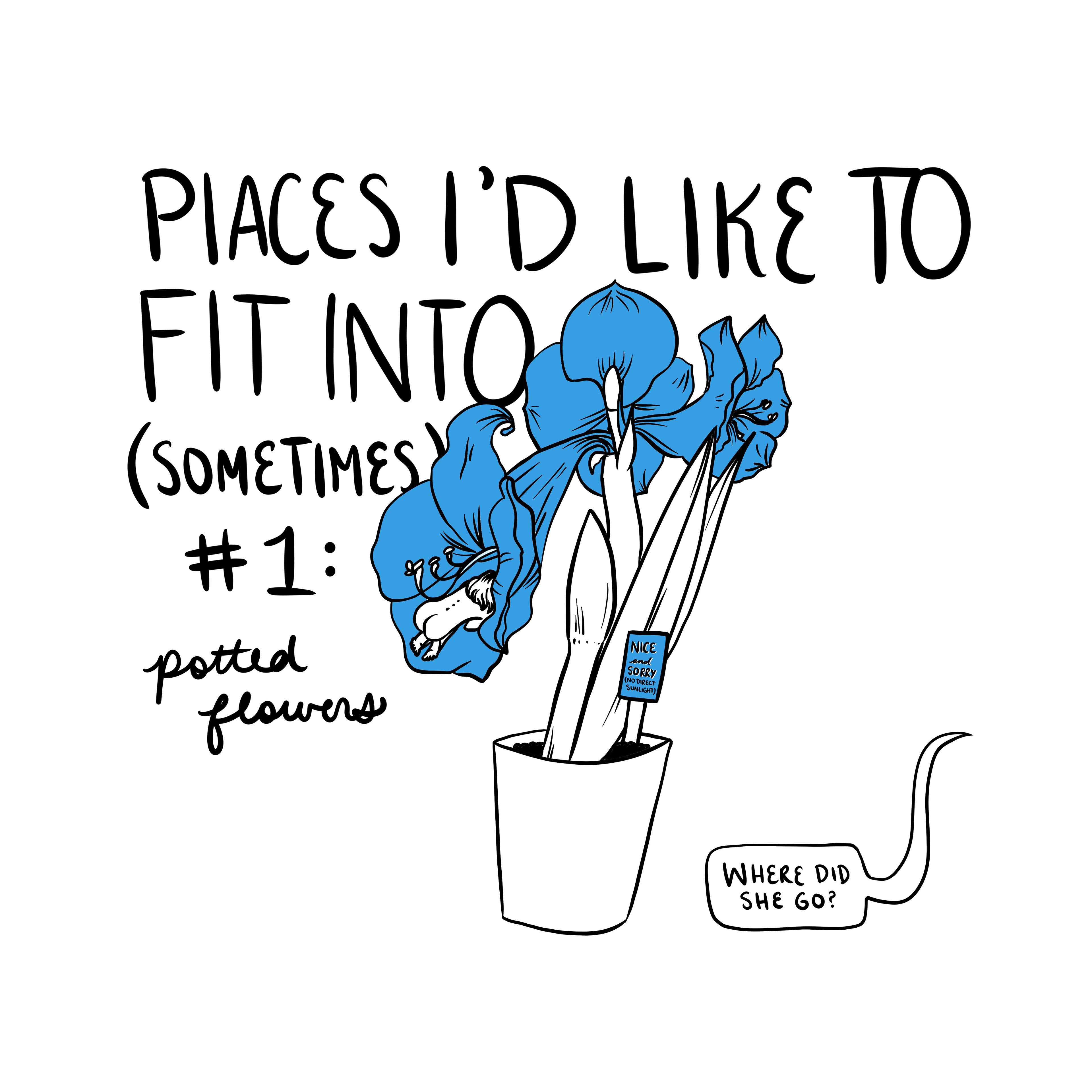 Places to Fit Into