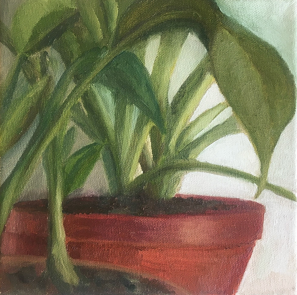 Plants still life painting