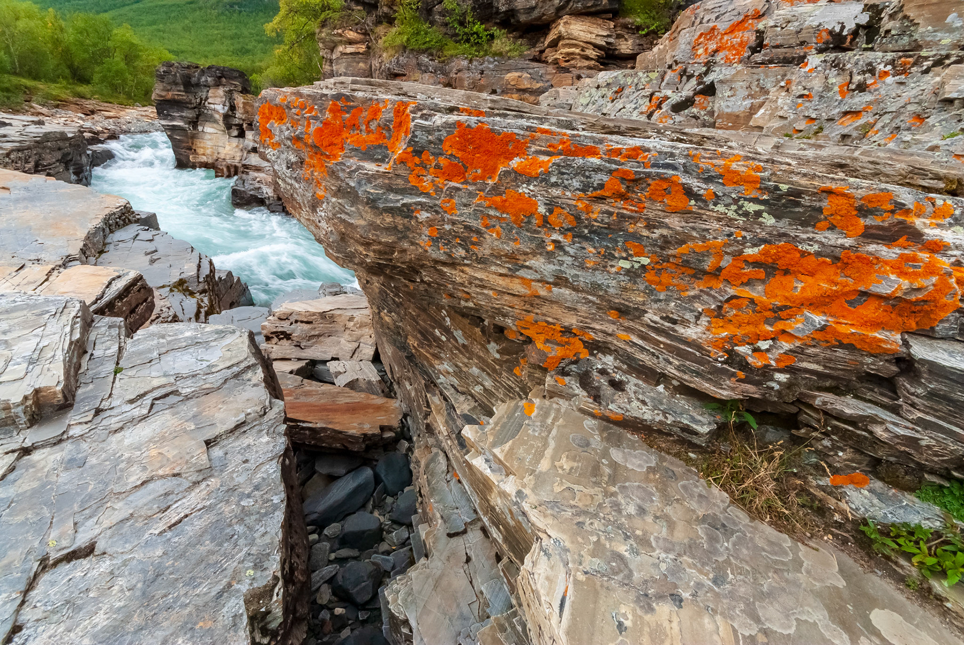 Abisko Kanjon, Abiskojokken