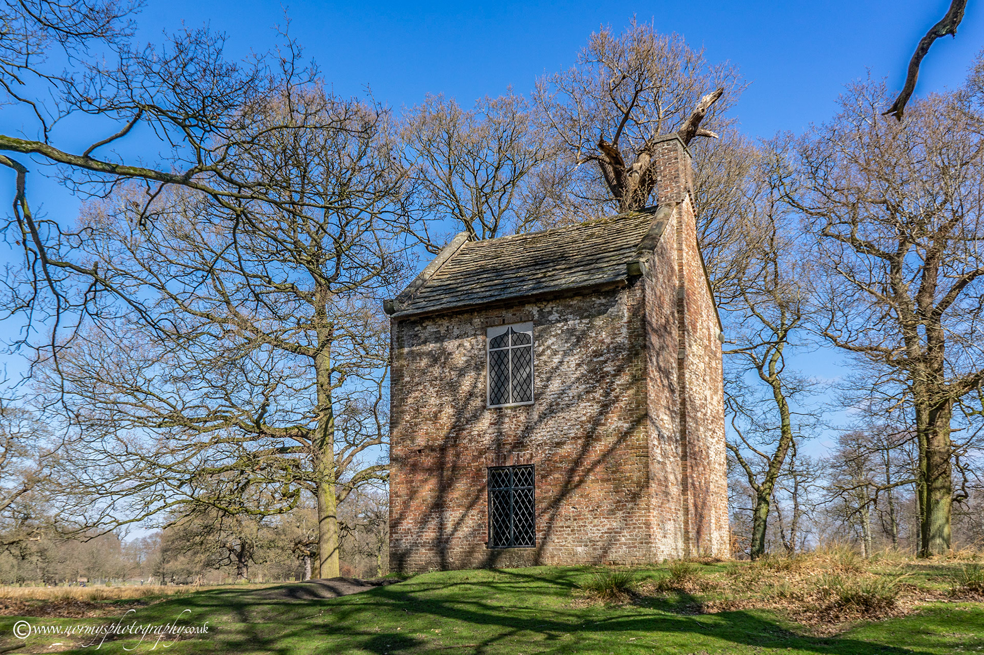 The old slaughter house