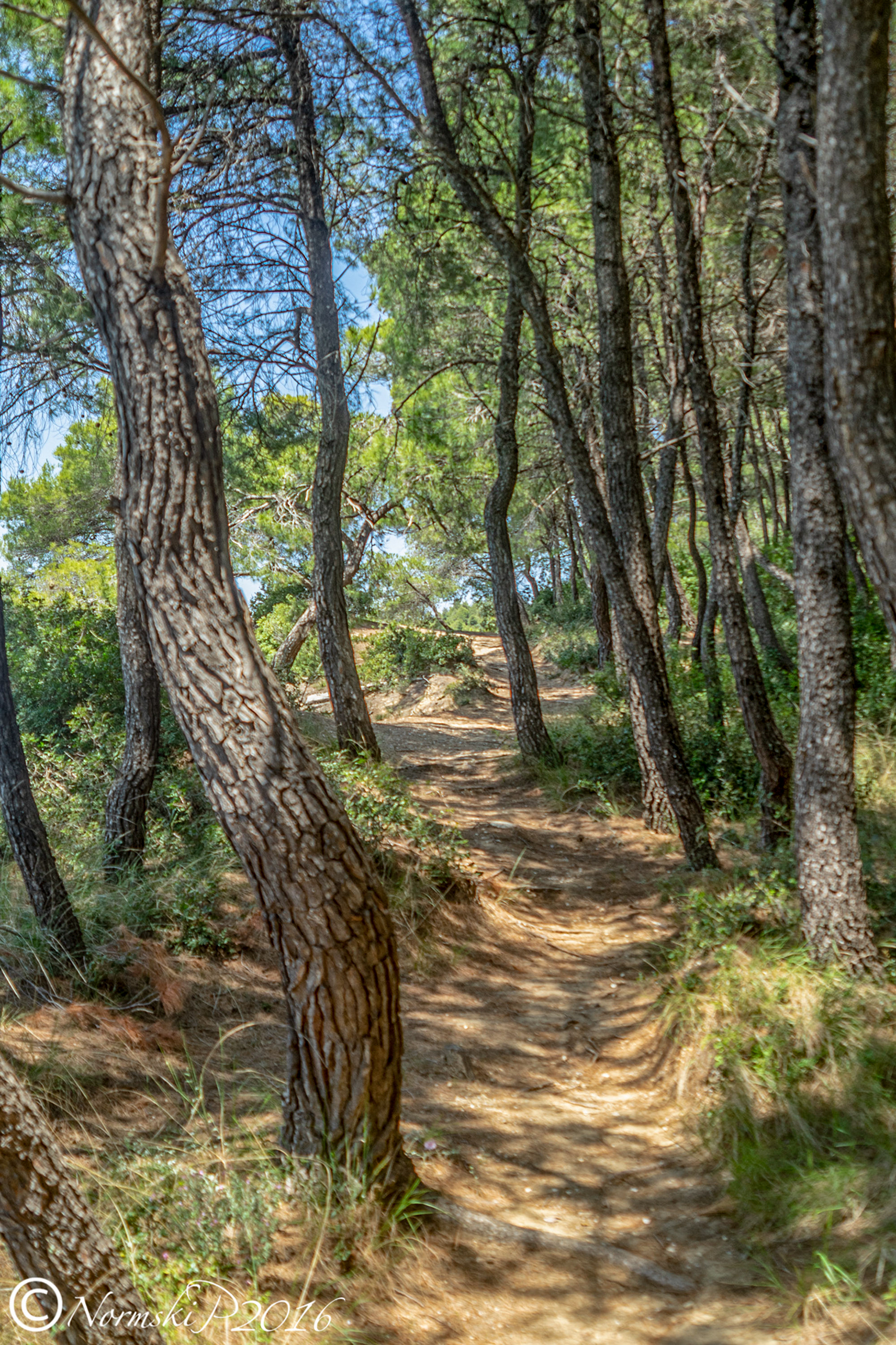 Along the Aegean coast