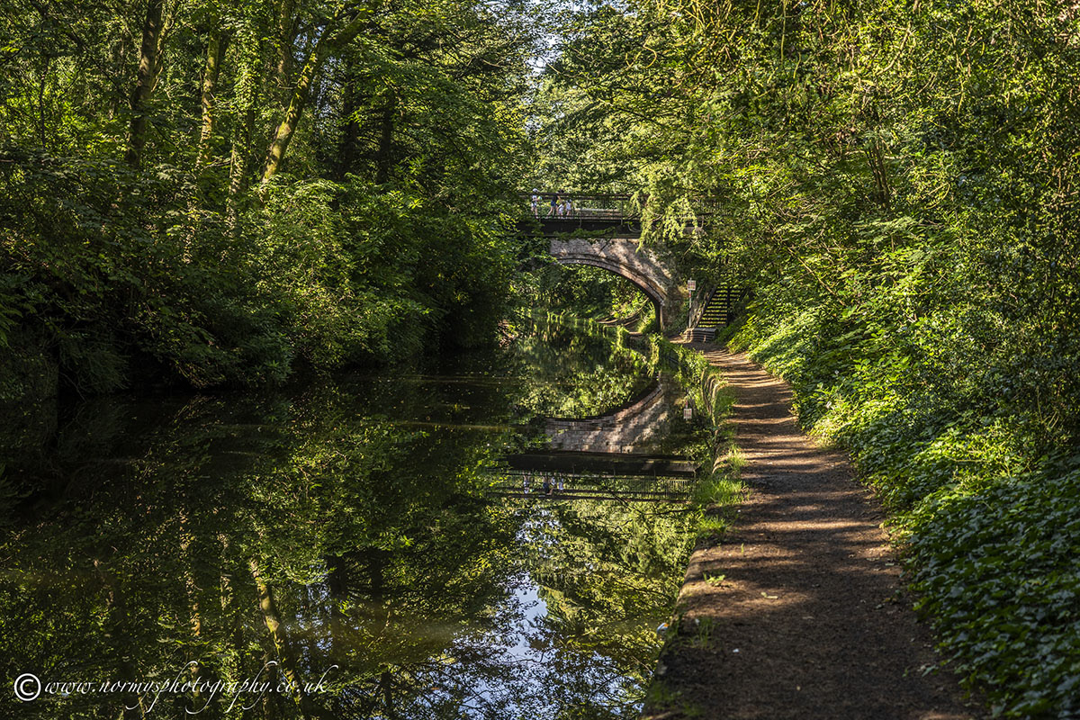 Bridge by Walton Gardens