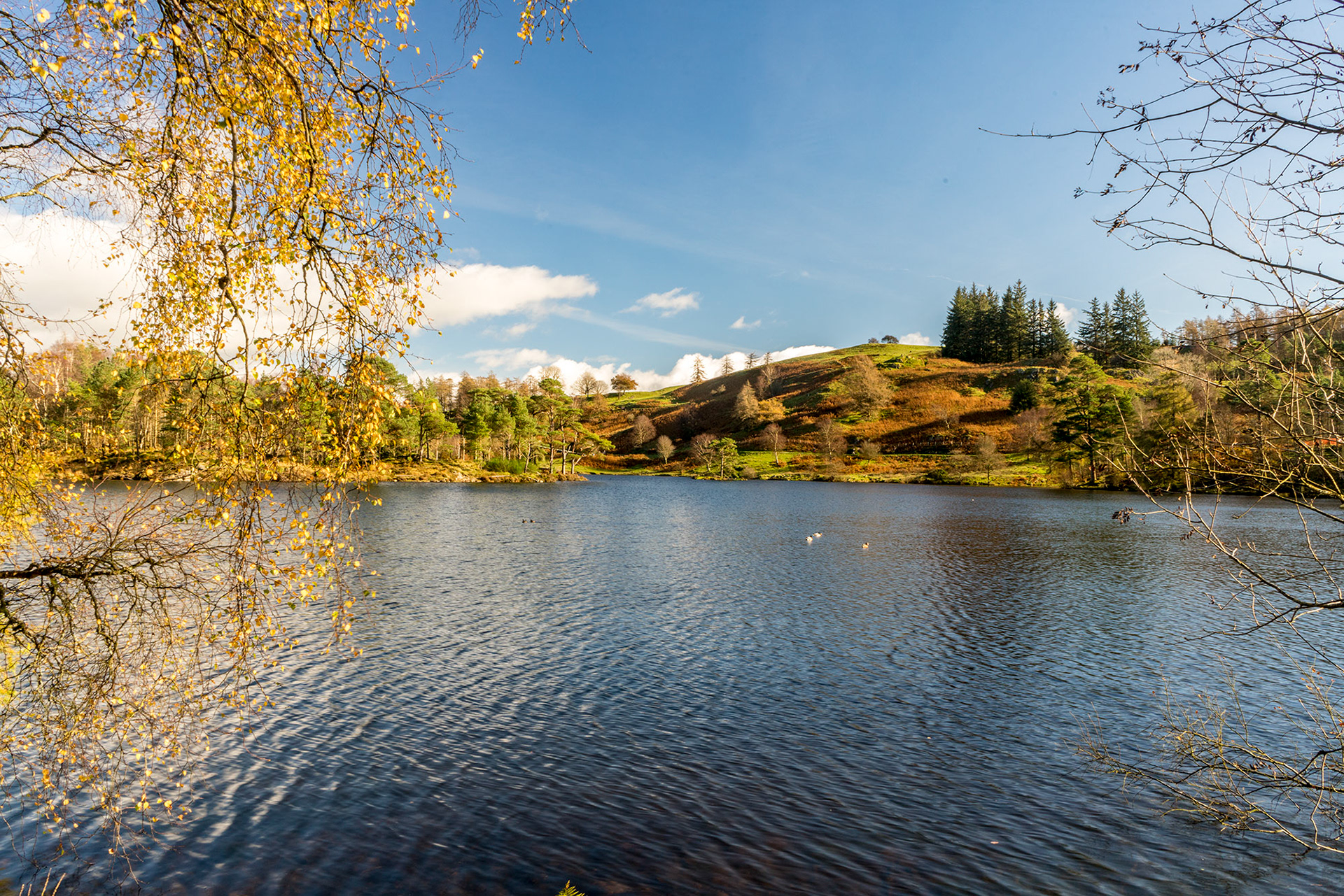 Tarn Hows