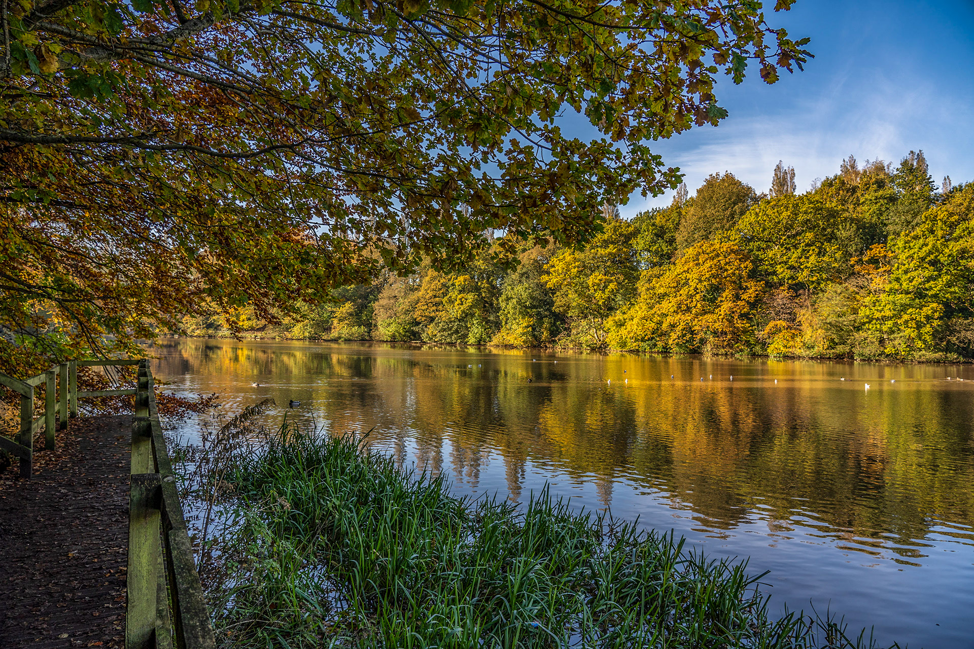 Autumn has hit Lymm..