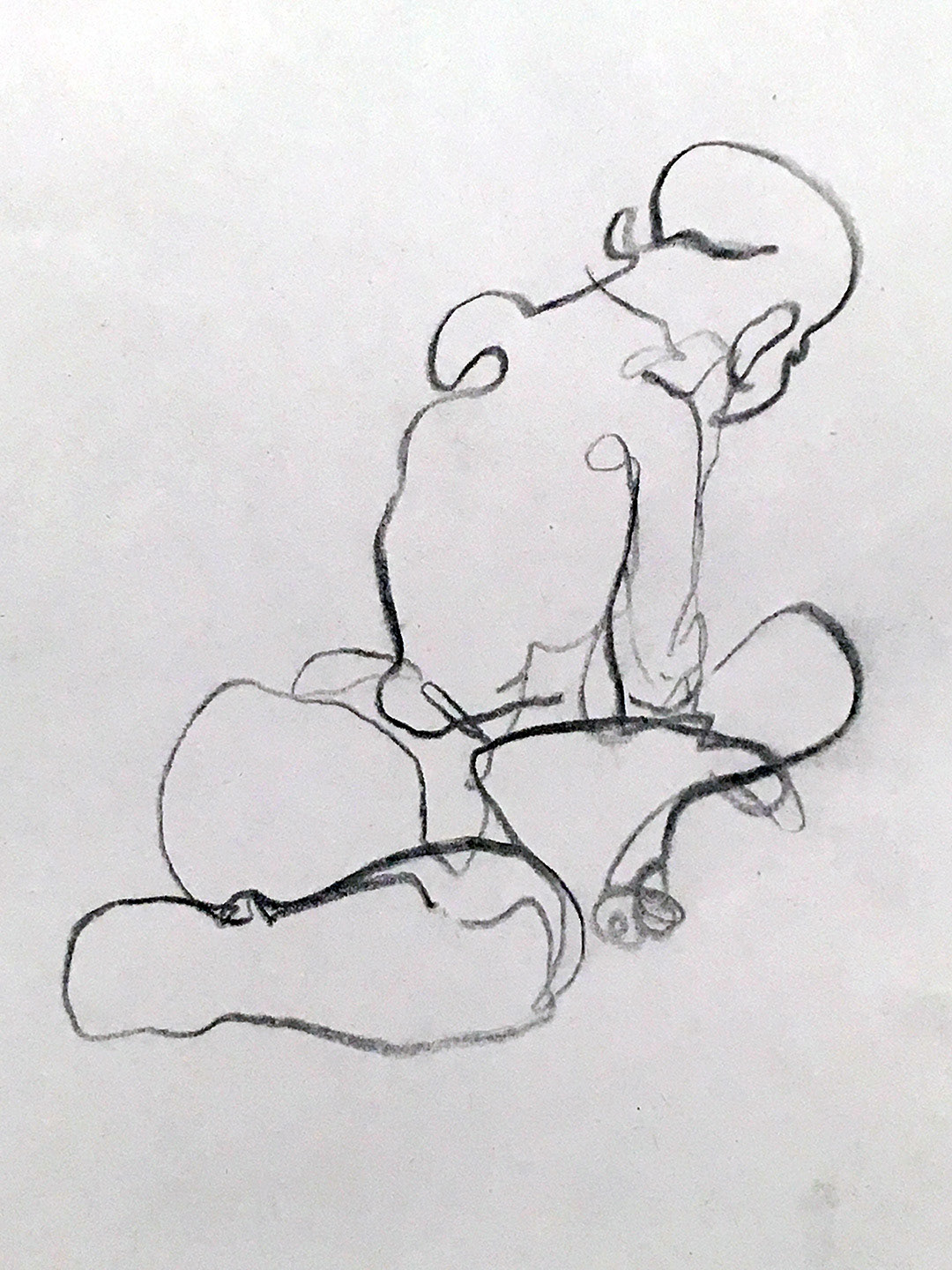 Life contour - 2017 - Contour