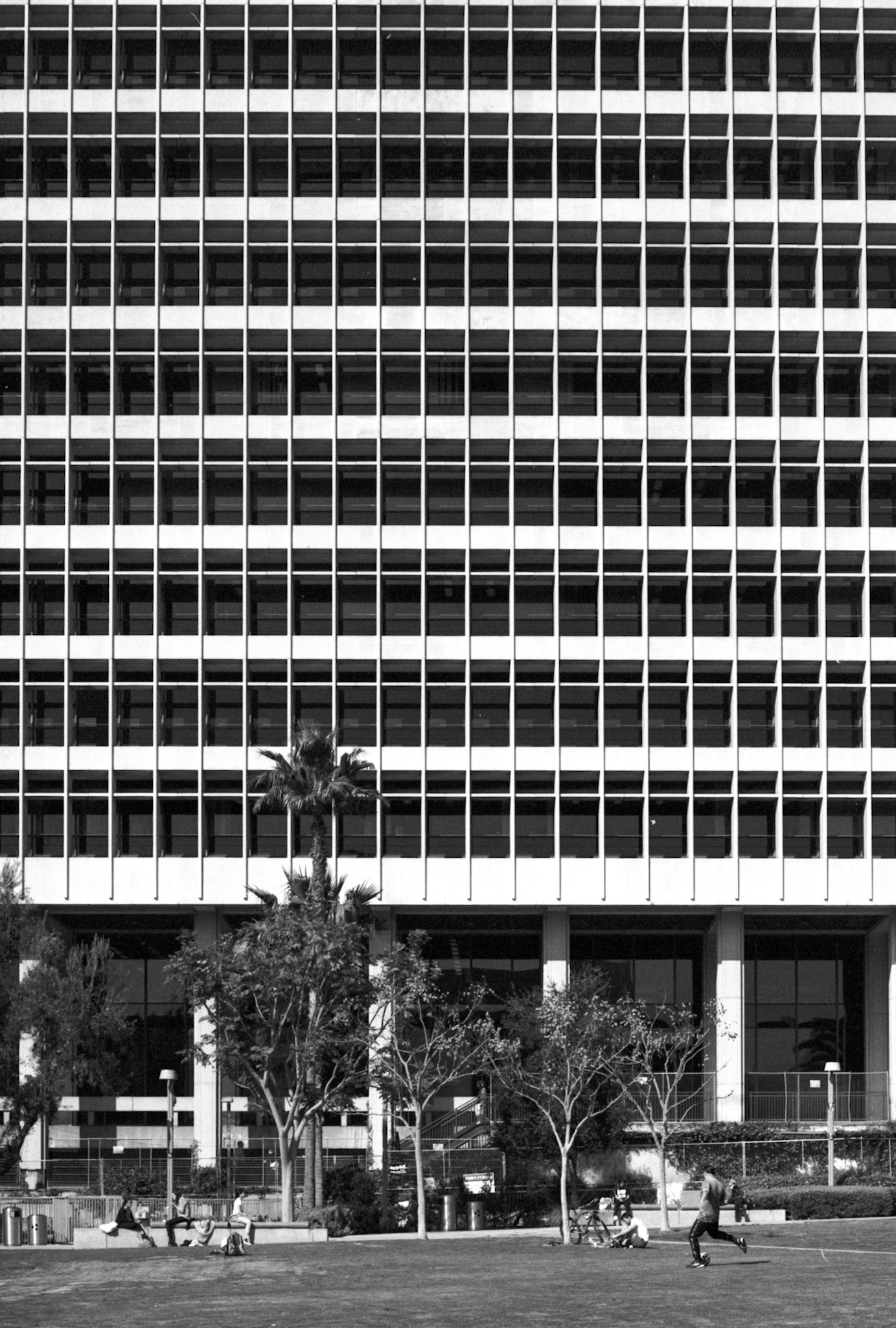 DTLA