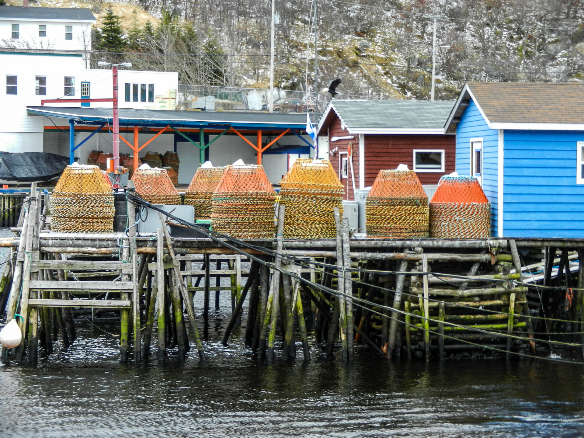 Petty Harbour, NL
