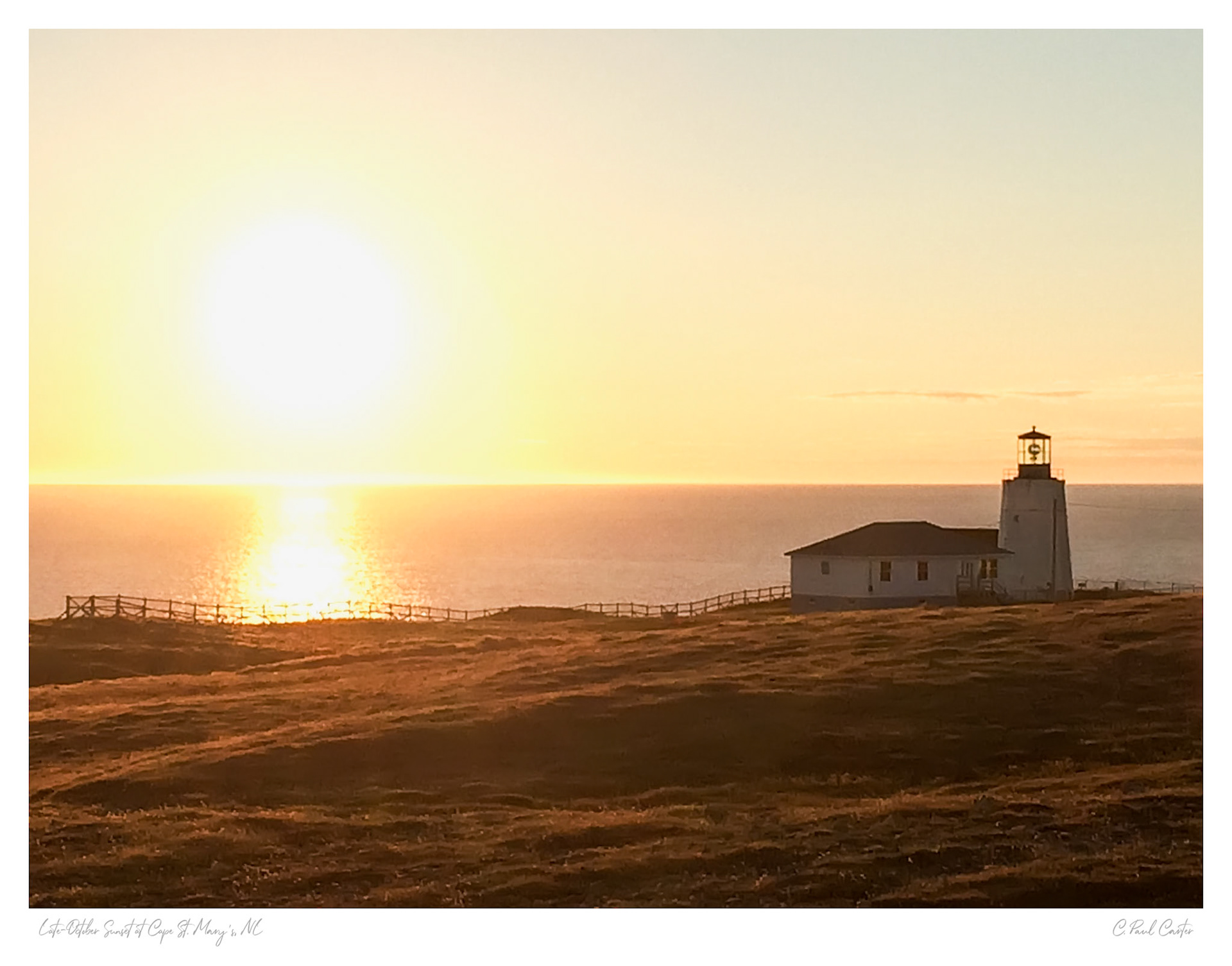Cape St. Mary's, NL