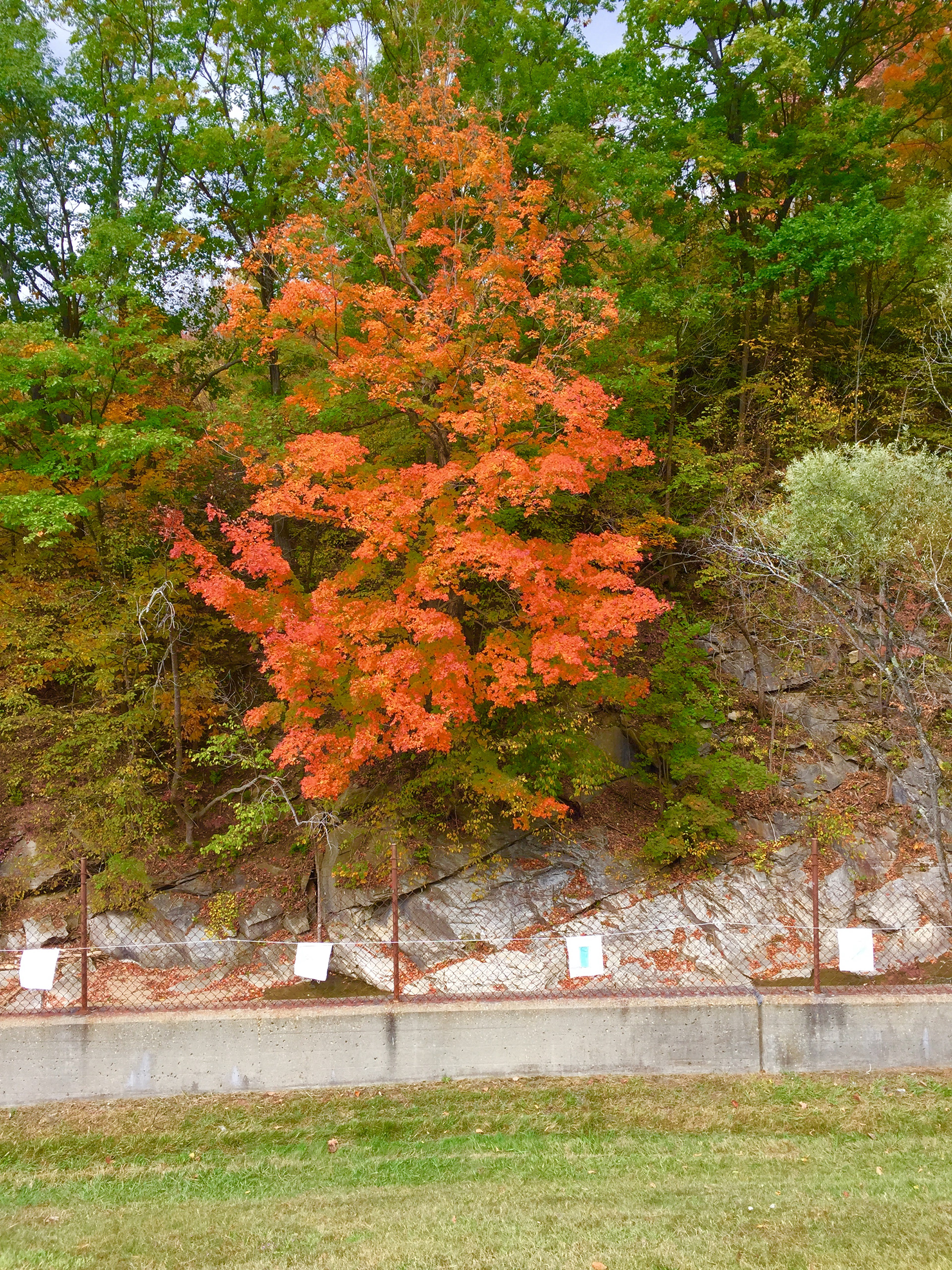 Airborne Transmission, Eclipse Mill Installation, October 2020