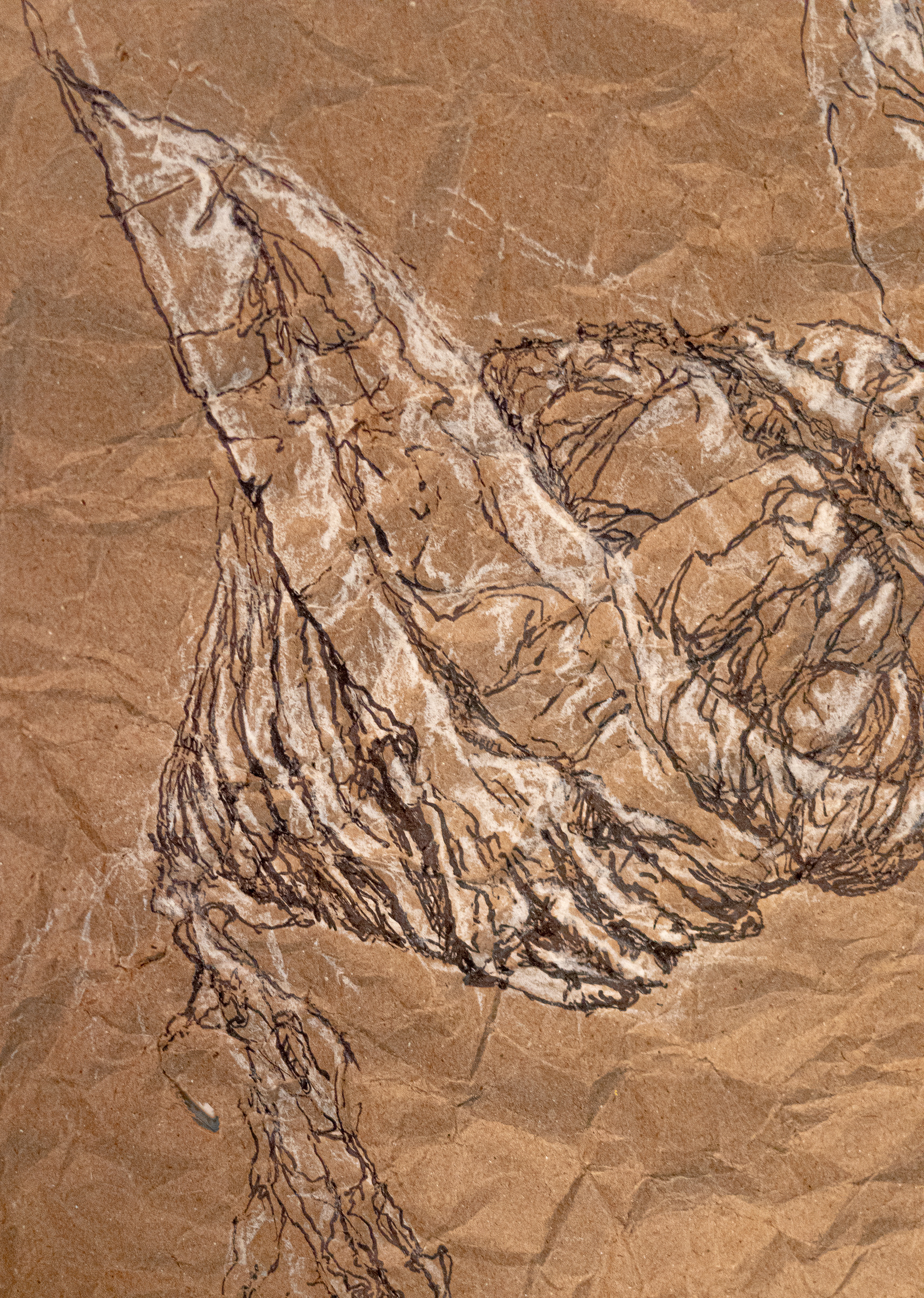 Holding It All Together. Detail 3.