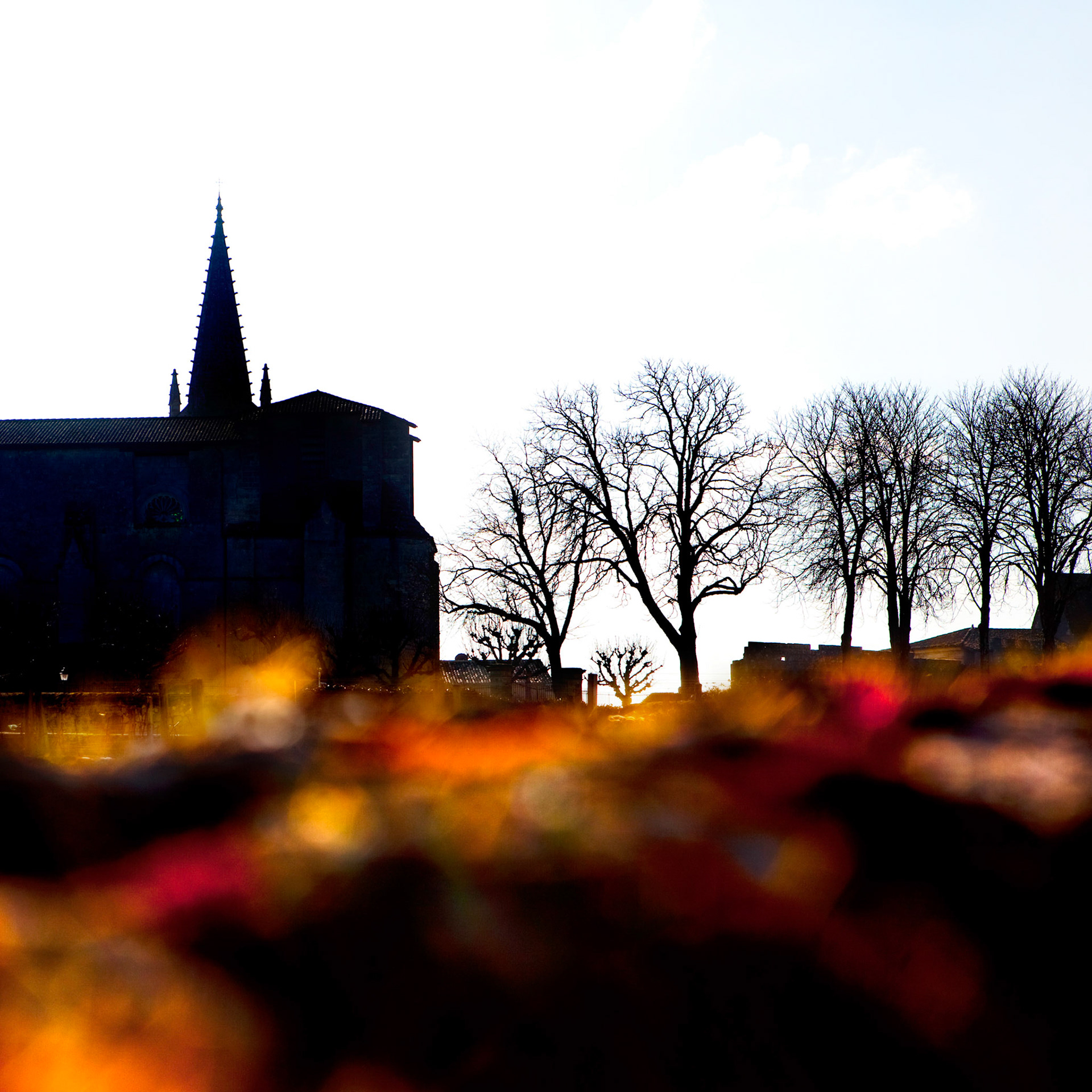 Saint Emilion