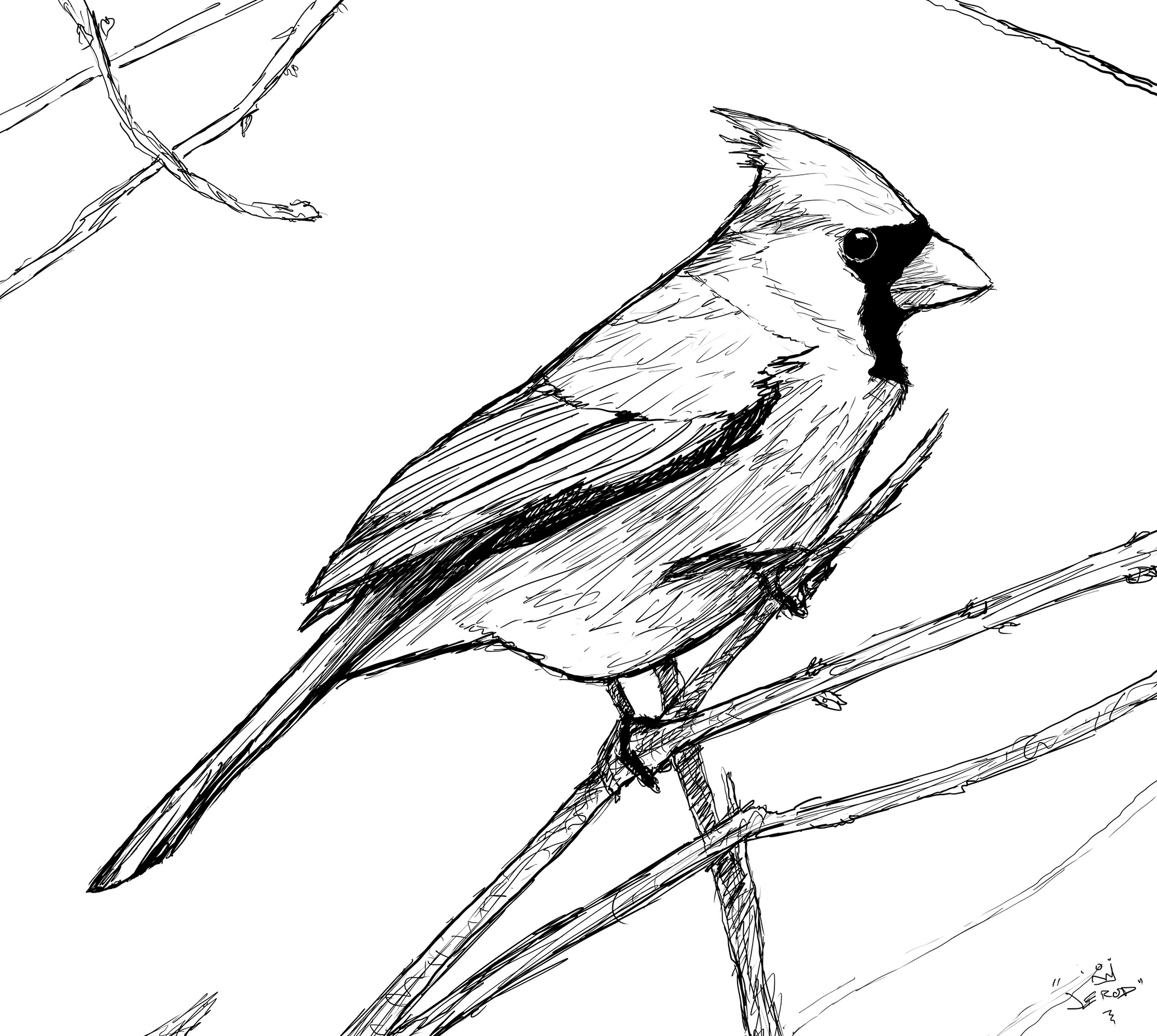 Cardinal