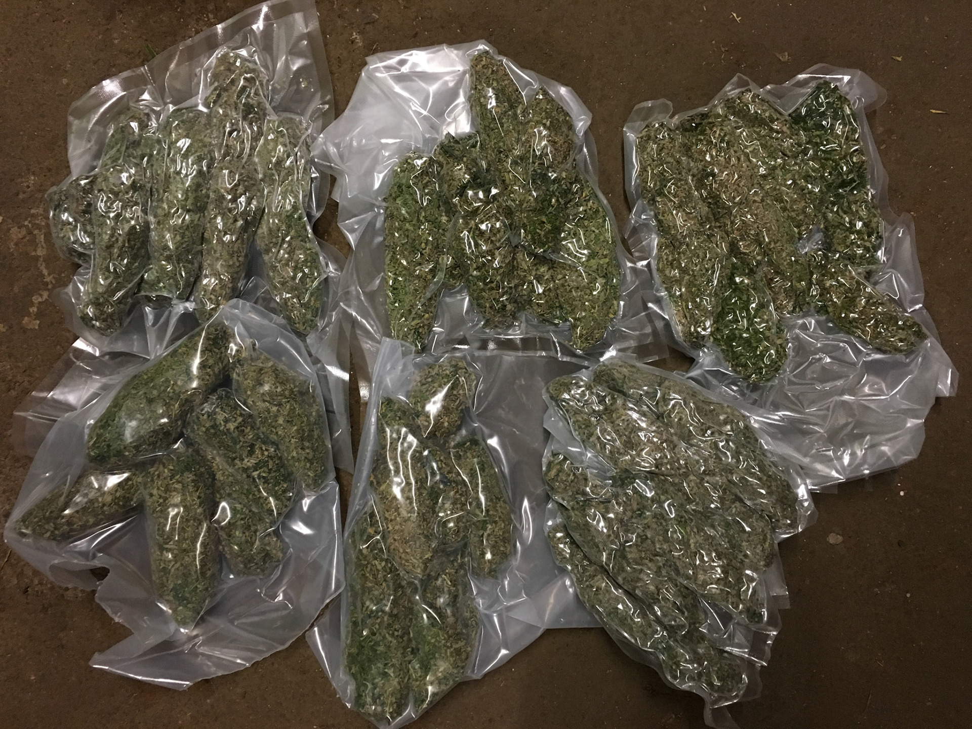 6x VACUUM PACKED BUDS