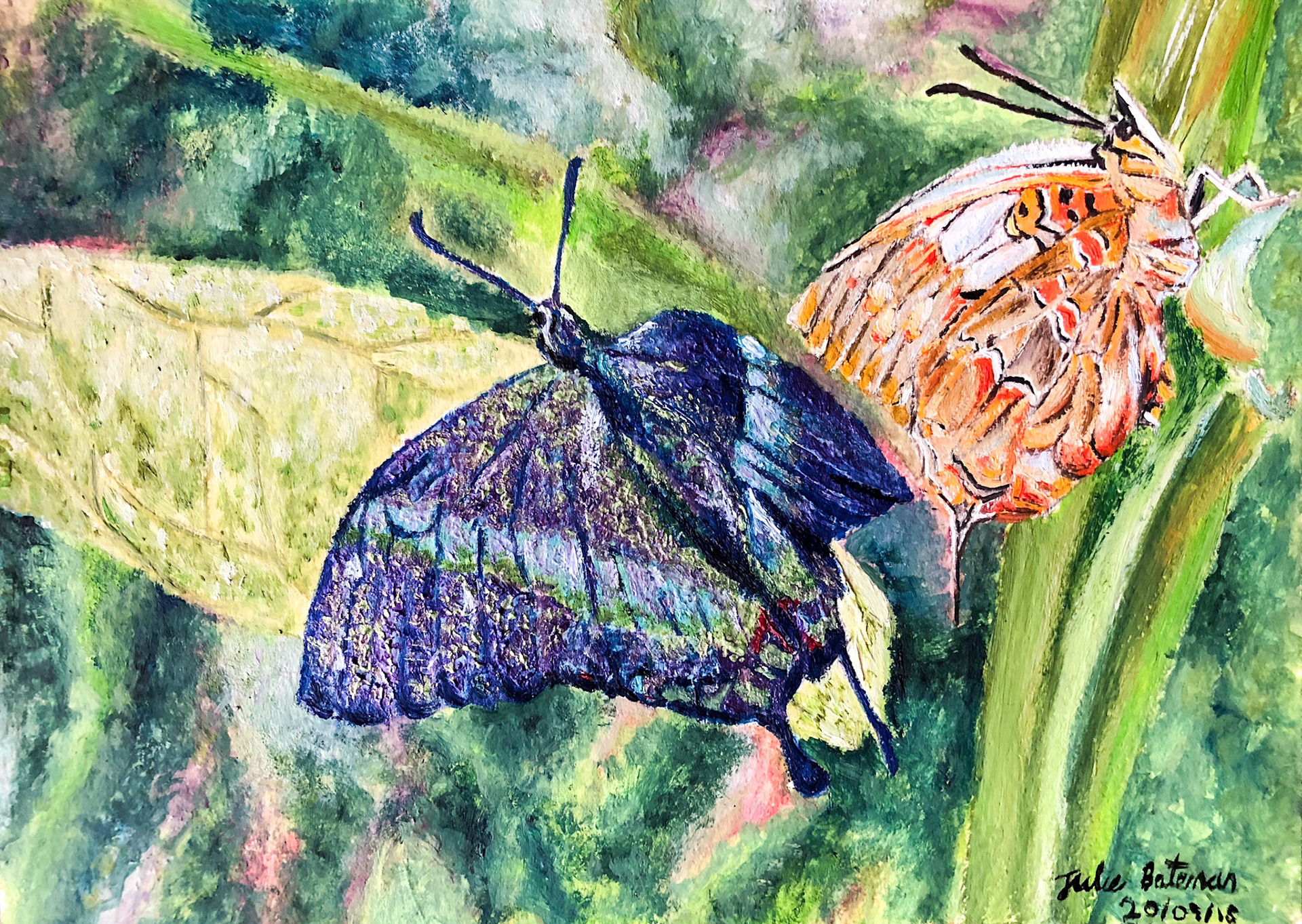 Butterflys from Natural history museum butterfly exhibition Oil on Paper 2018