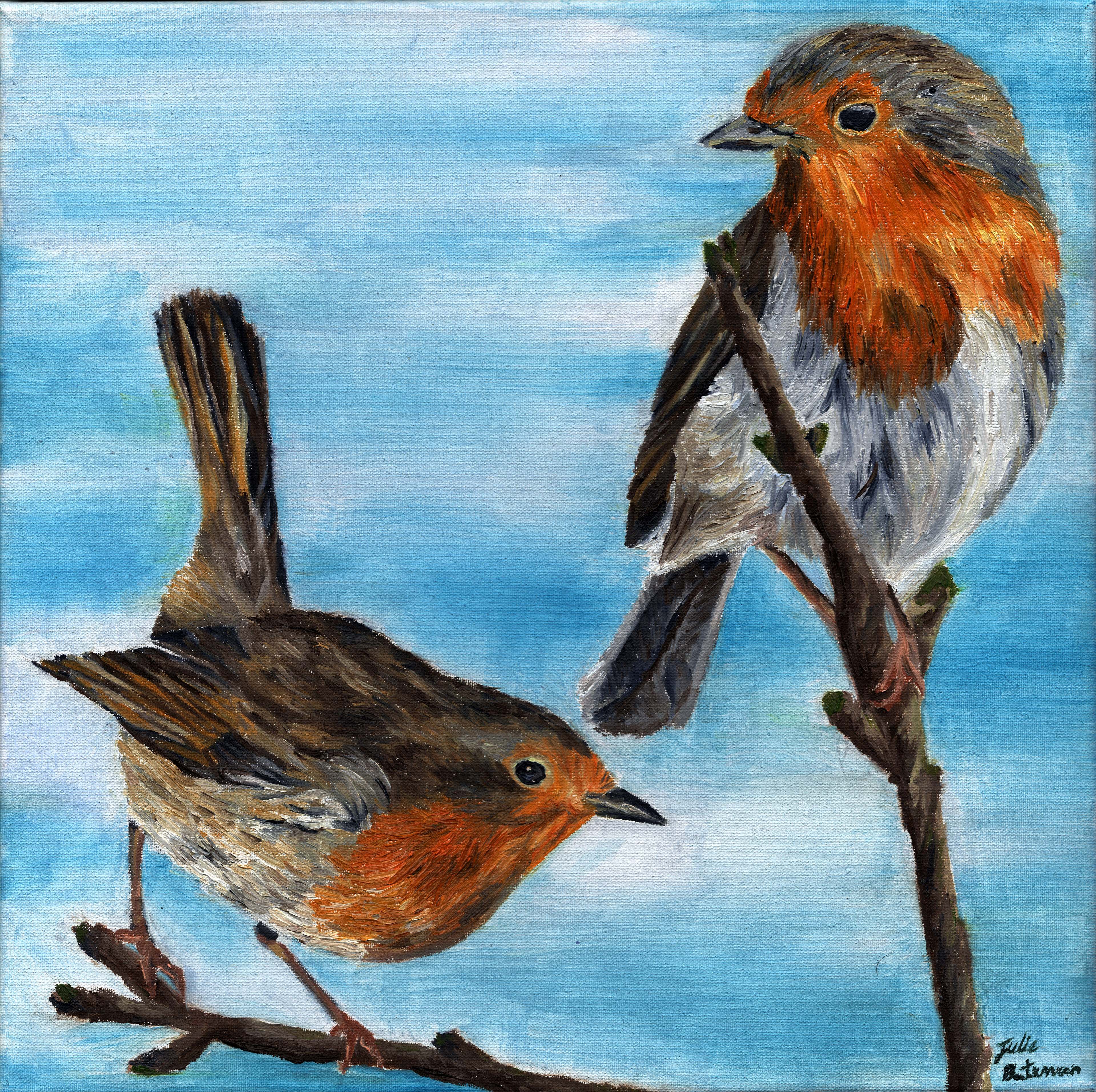 Robins Oil on Canvas 12/2018