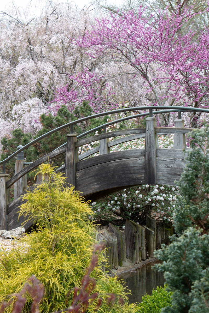 Japanese Stroll Garden