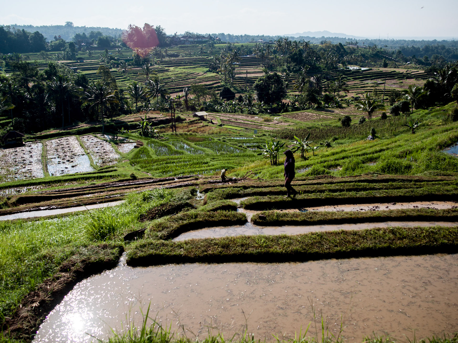 Bali IND