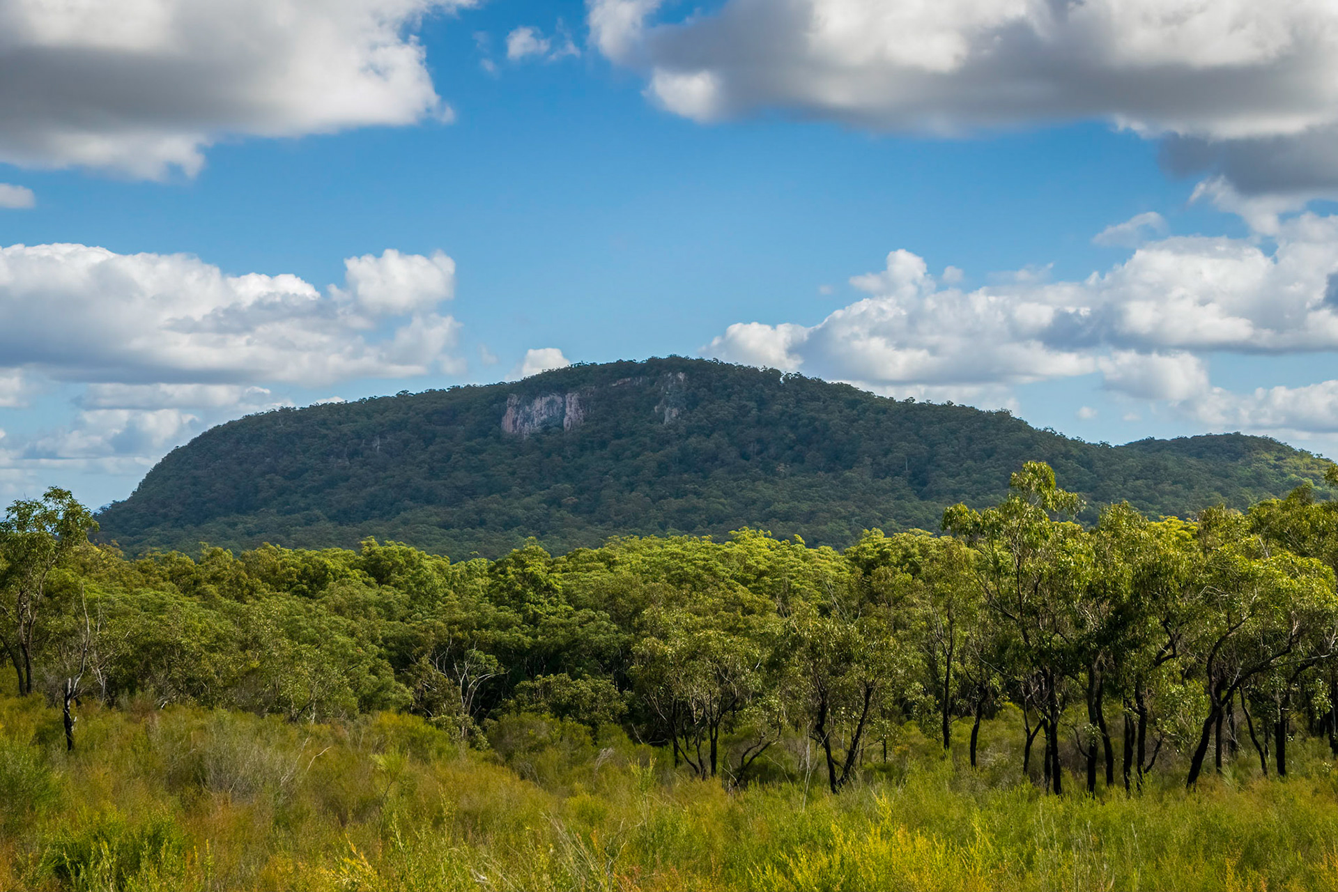 From Mt French walking  track