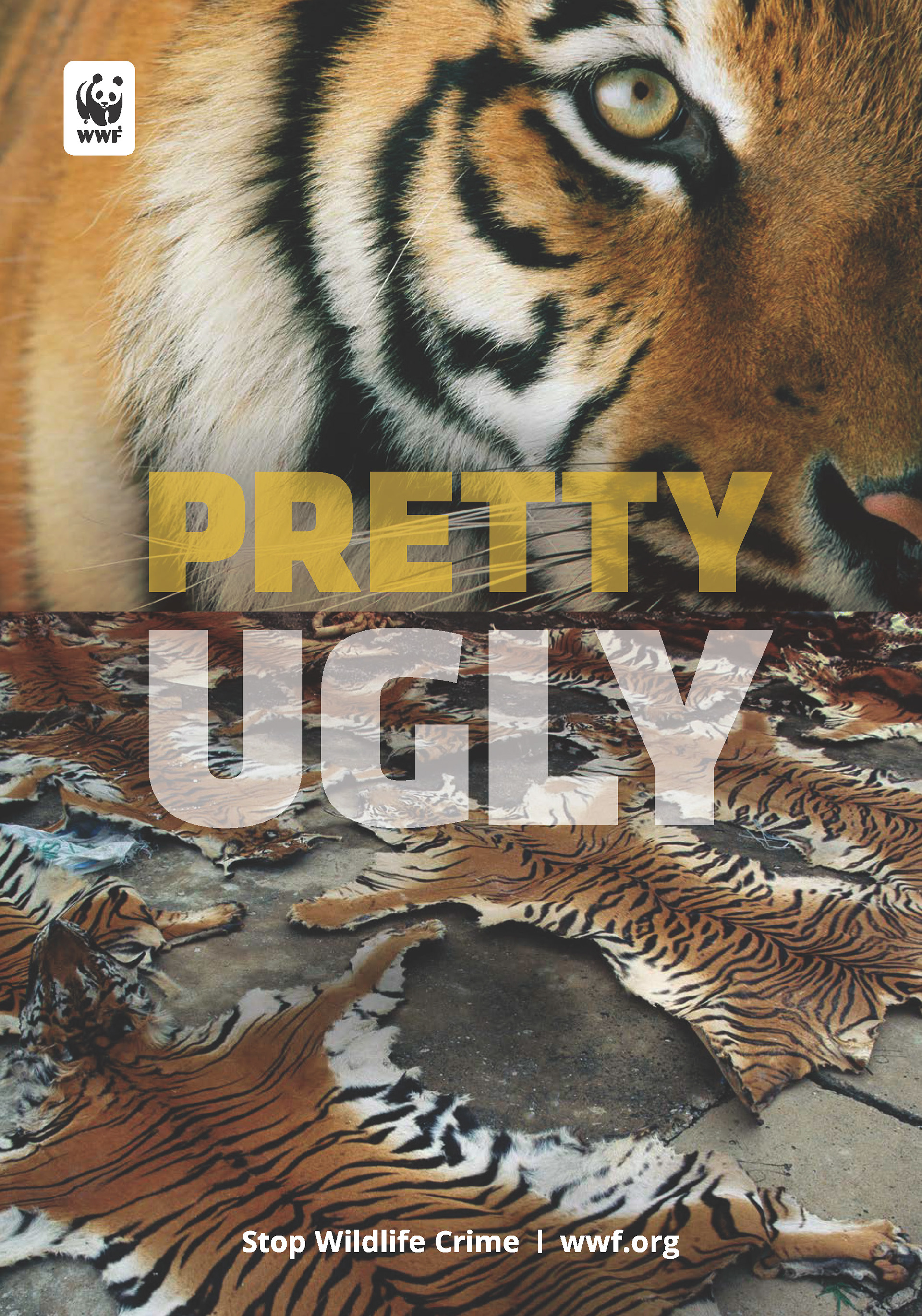 Evan Levent - World Wildlife Fund Evan Levent - World Wildlife Fund