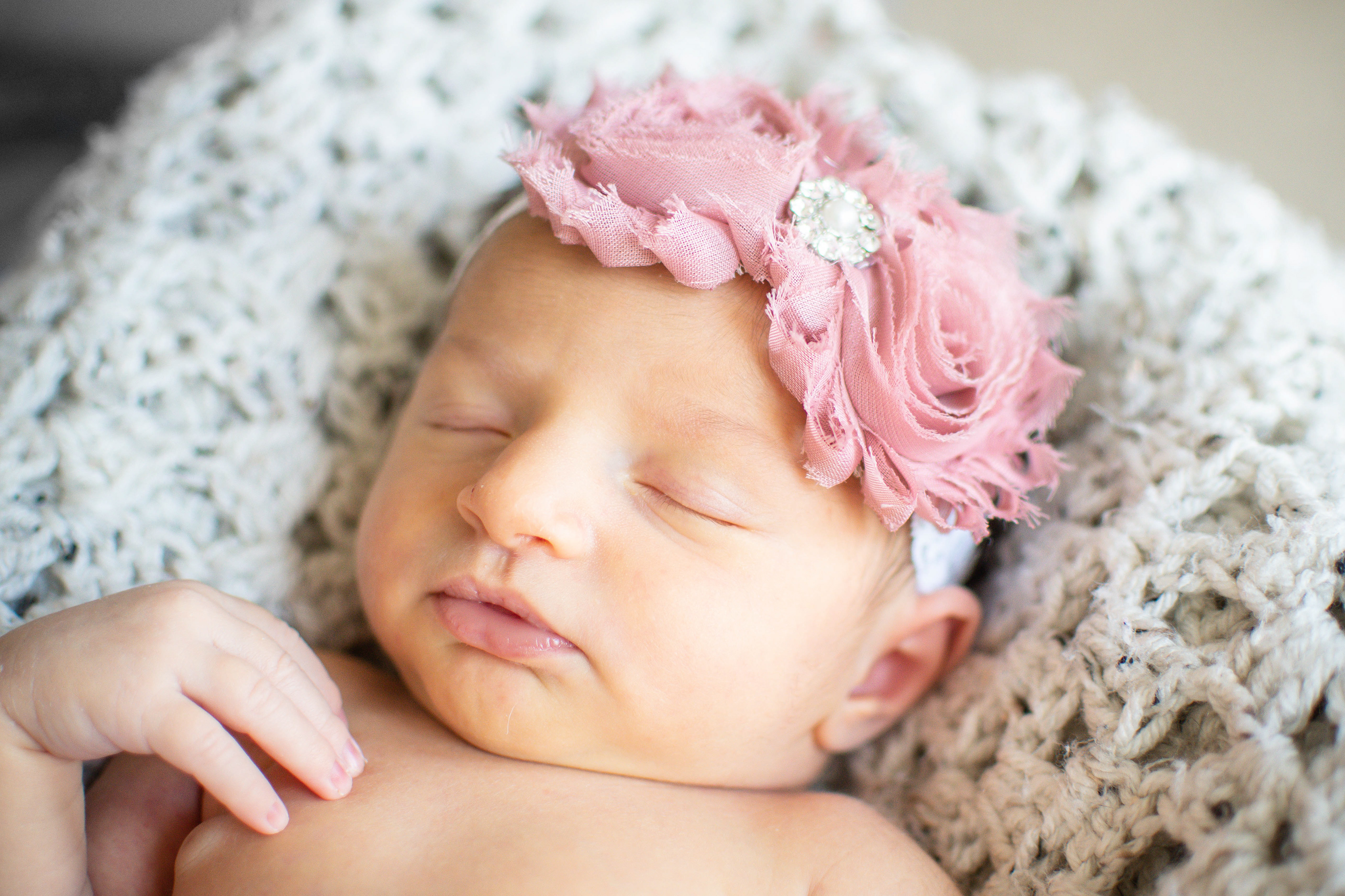 Lauren Leigh Photography - Newborn