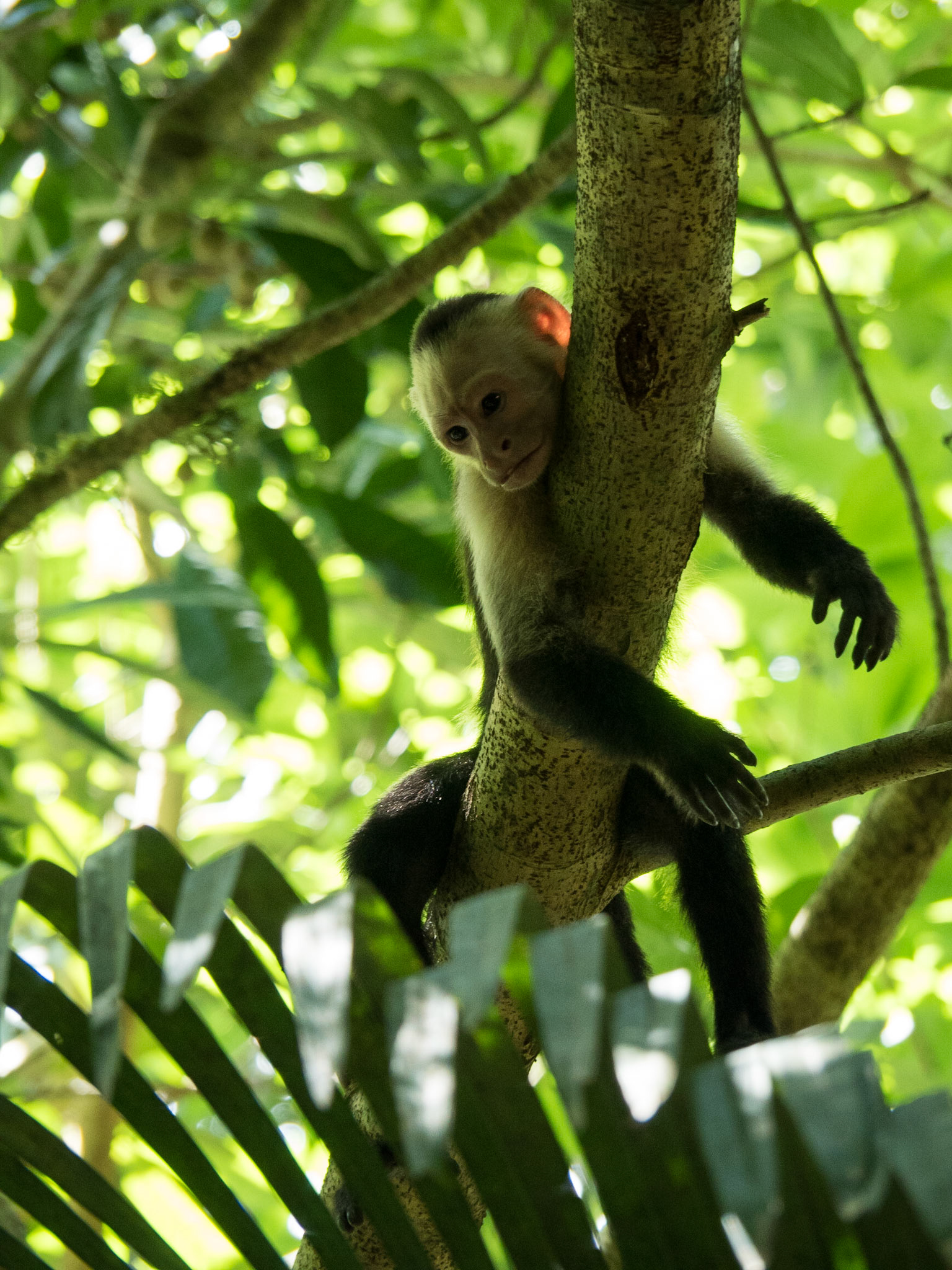 Costa Rica