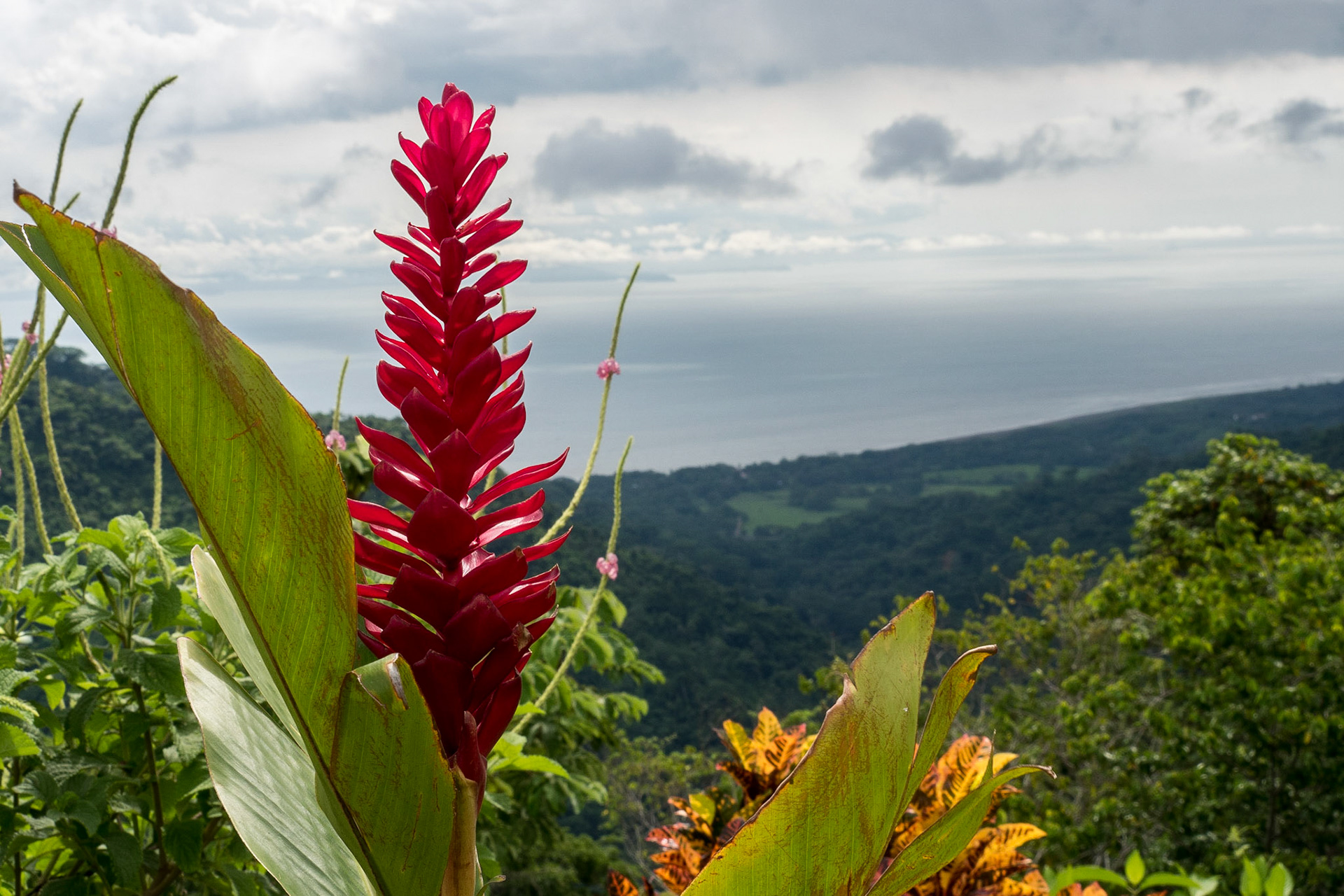 Costa Rica