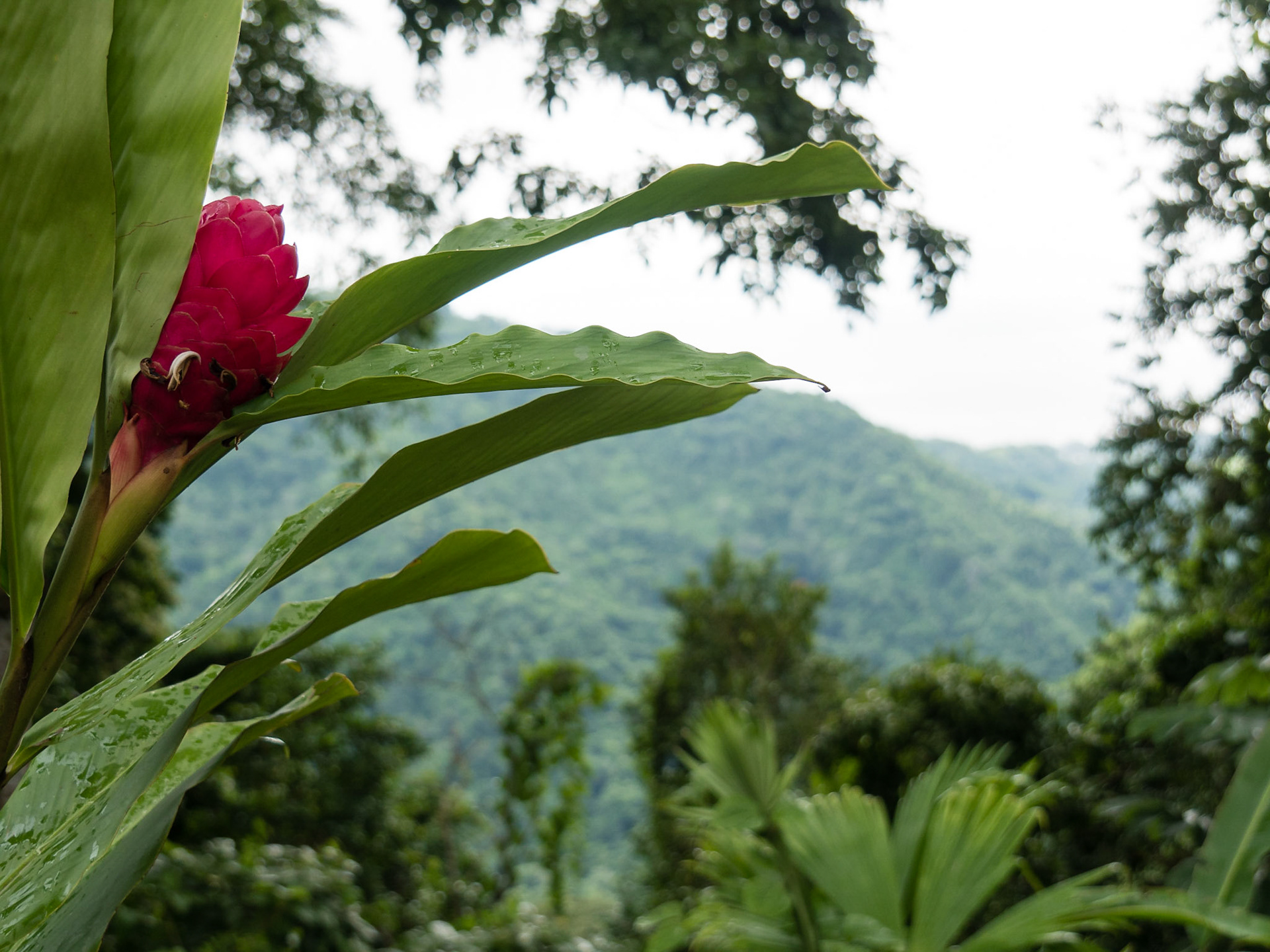 Costa Rica