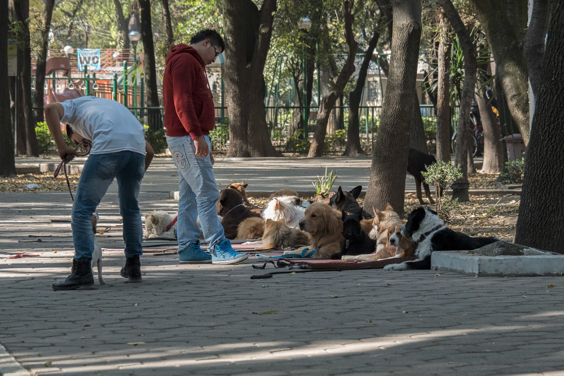 Mexico City, Mexico