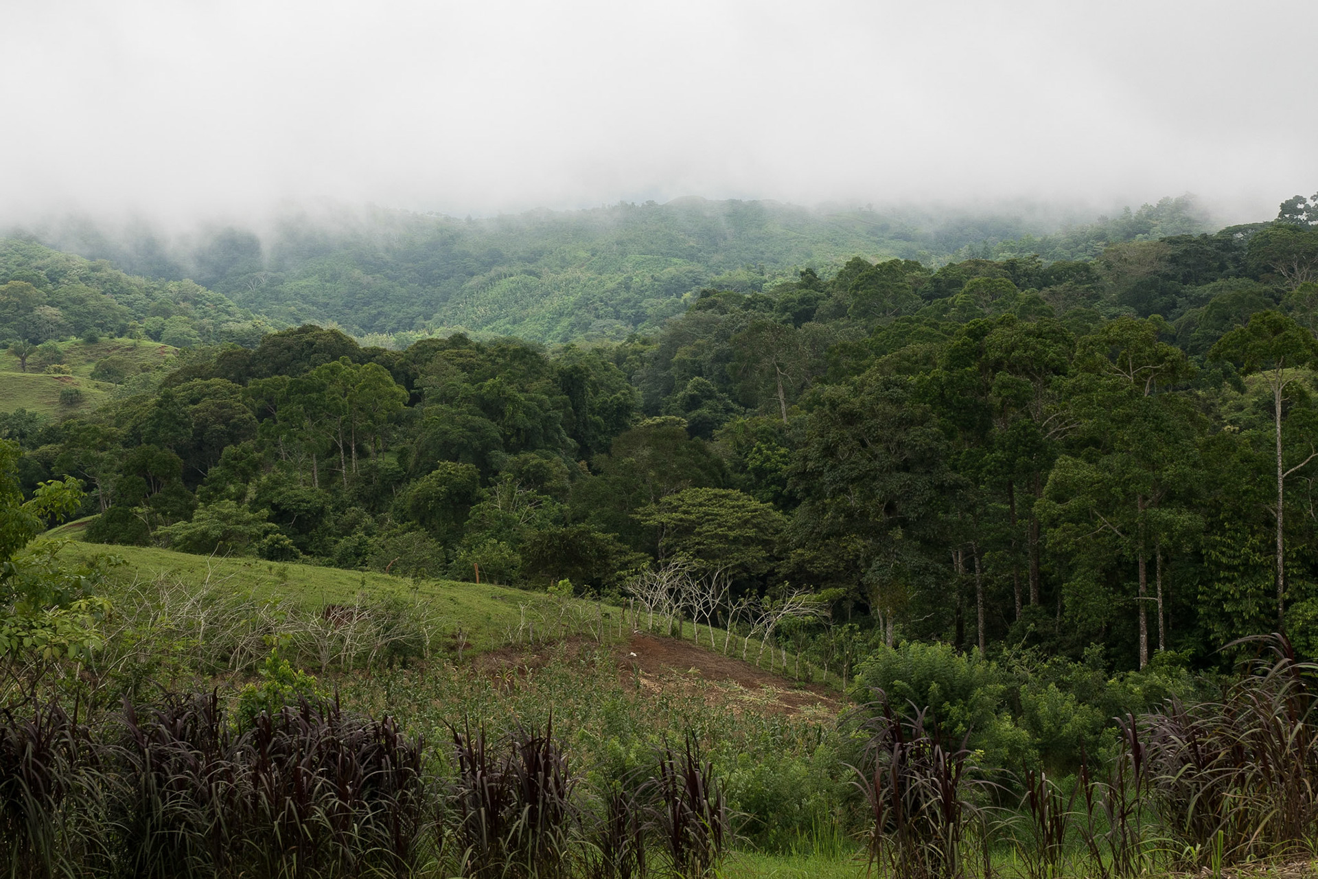 Costa Rica
